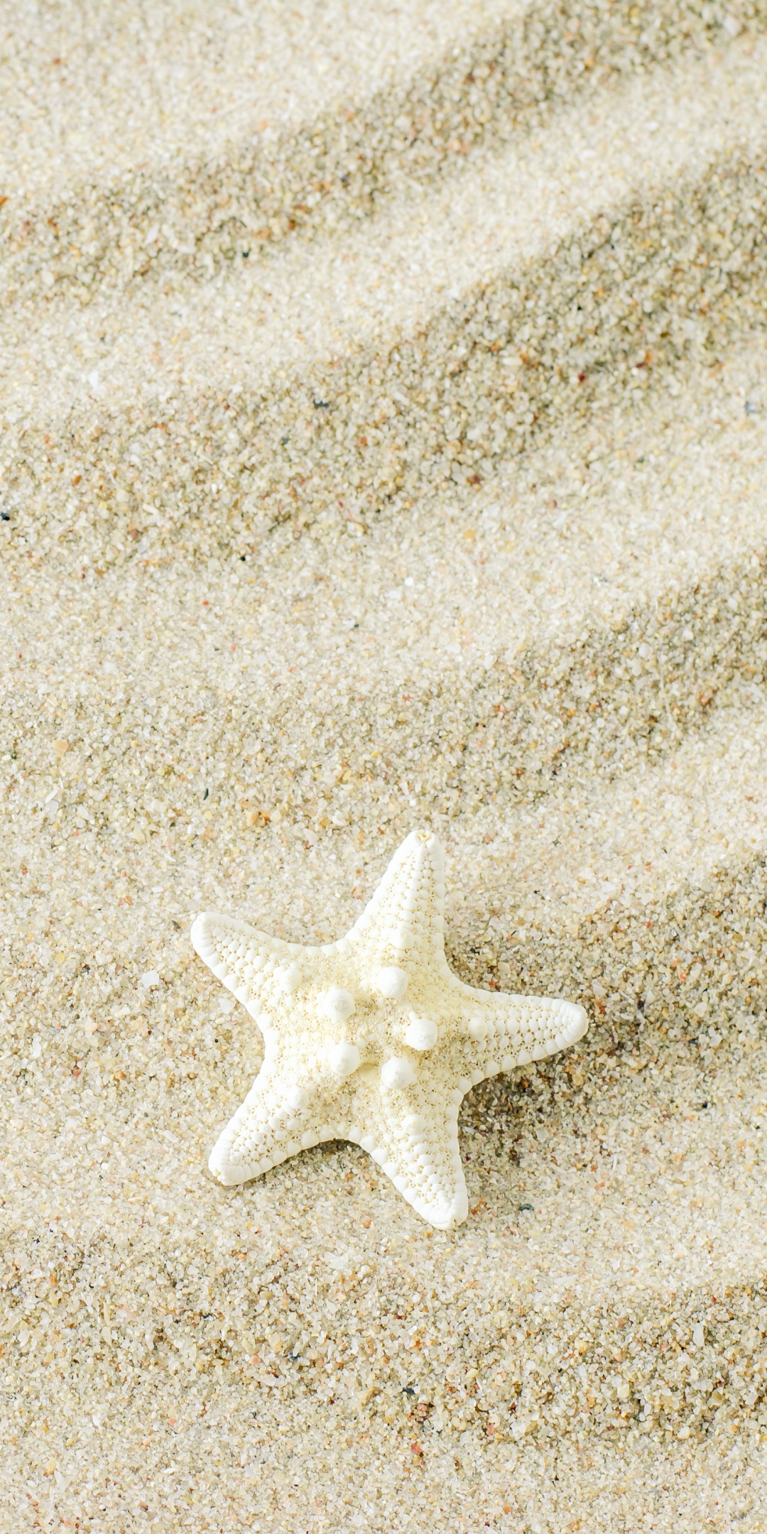 Handy-Wallpaper Tiere, Sand, Seestern kostenlos herunterladen.