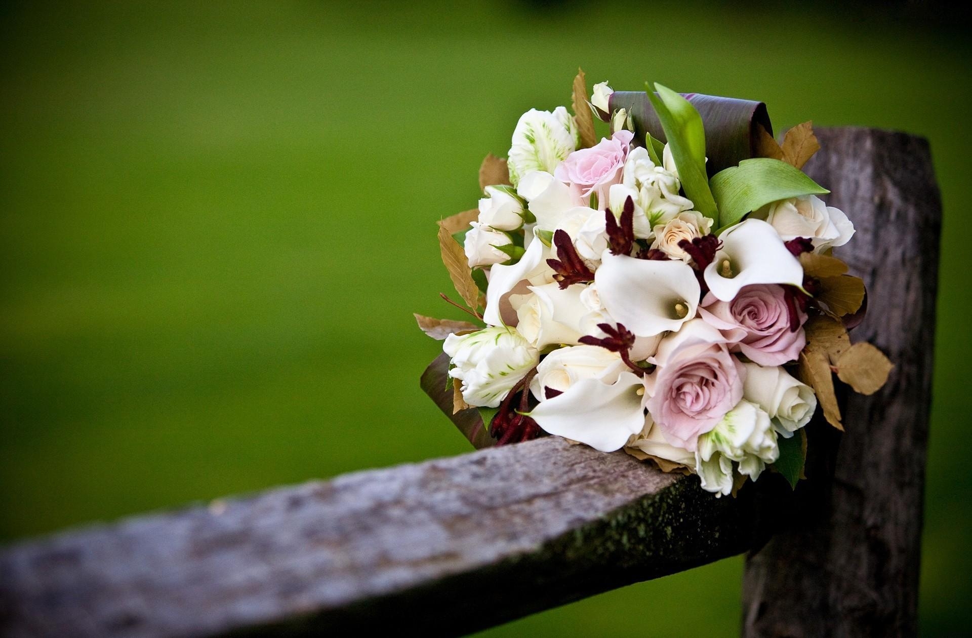 smooth, blur, flowers, roses, bouquet, fence, calla, callas