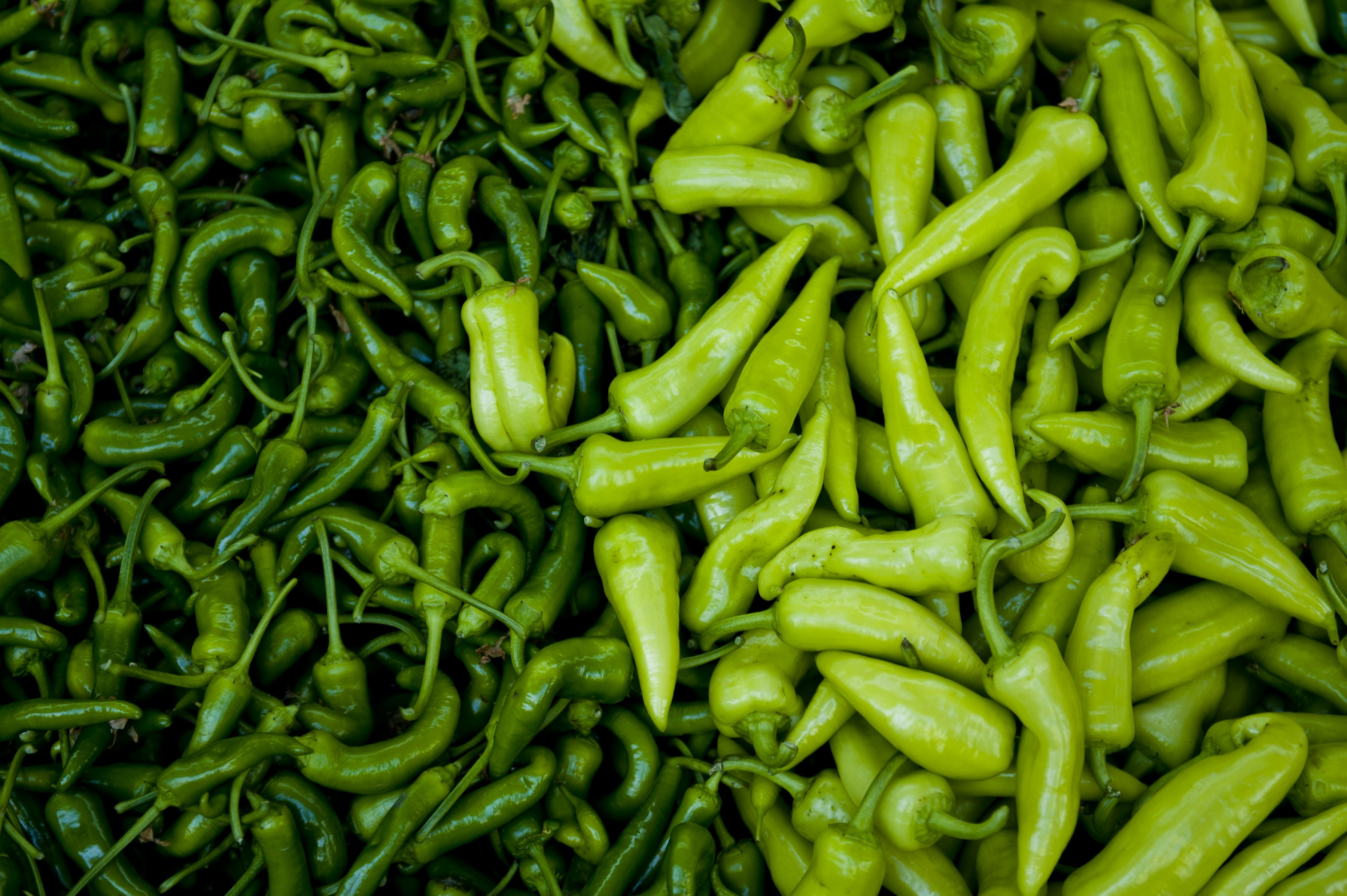 Download mobile wallpaper Bell Pepper, Food, Pepper, Chile for free.