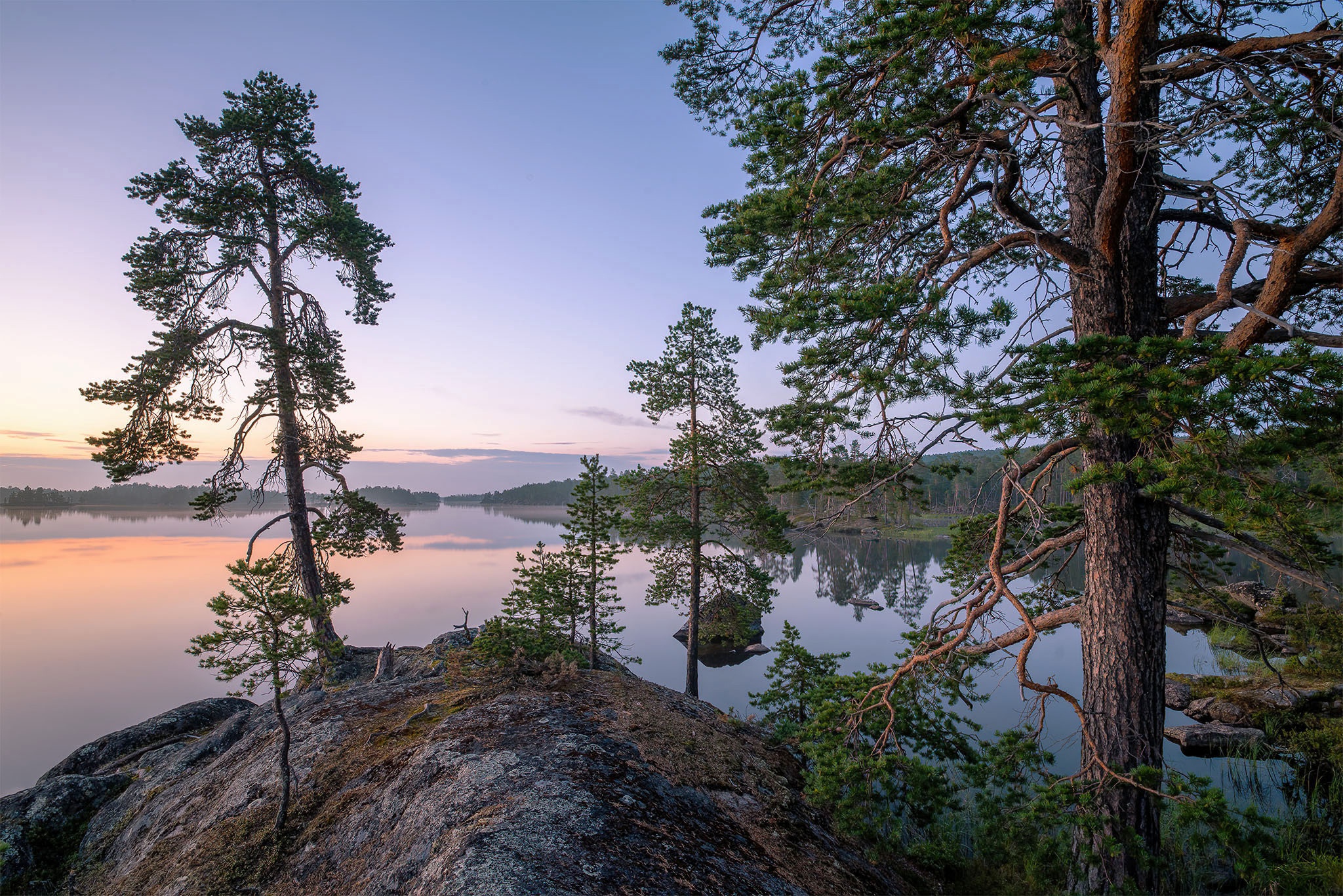 無料モバイル壁紙湖, 地球, フィンランド, 松の木をダウンロードします。