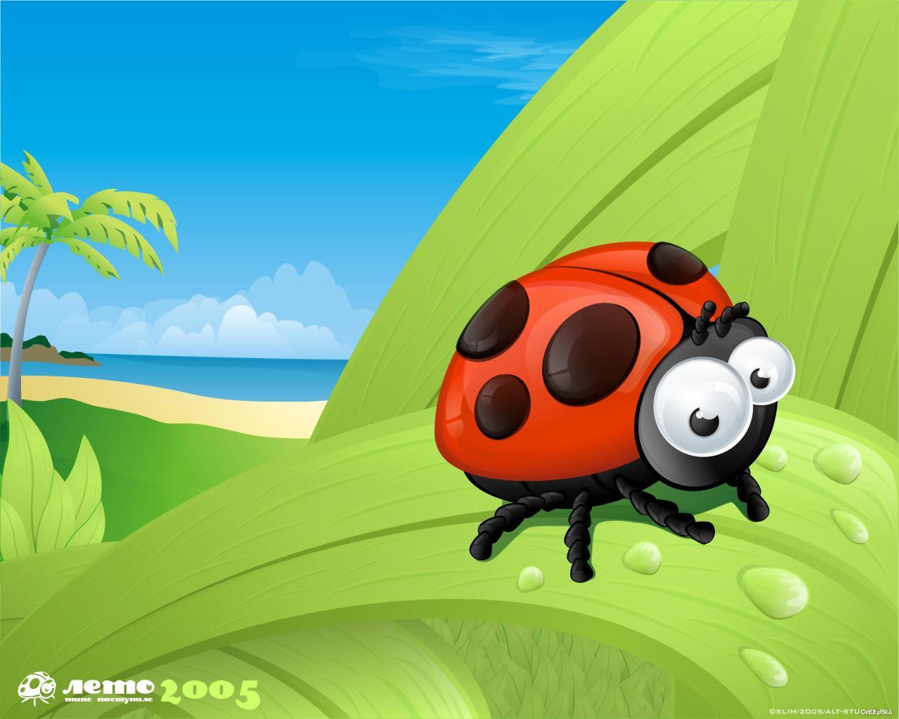 funny, ladybugs, pictures, green