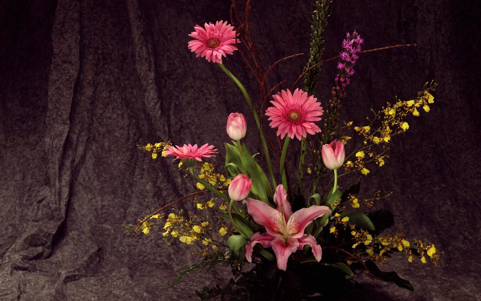 tulips, gerberas, flowers, lily, composition, ikebana Full HD