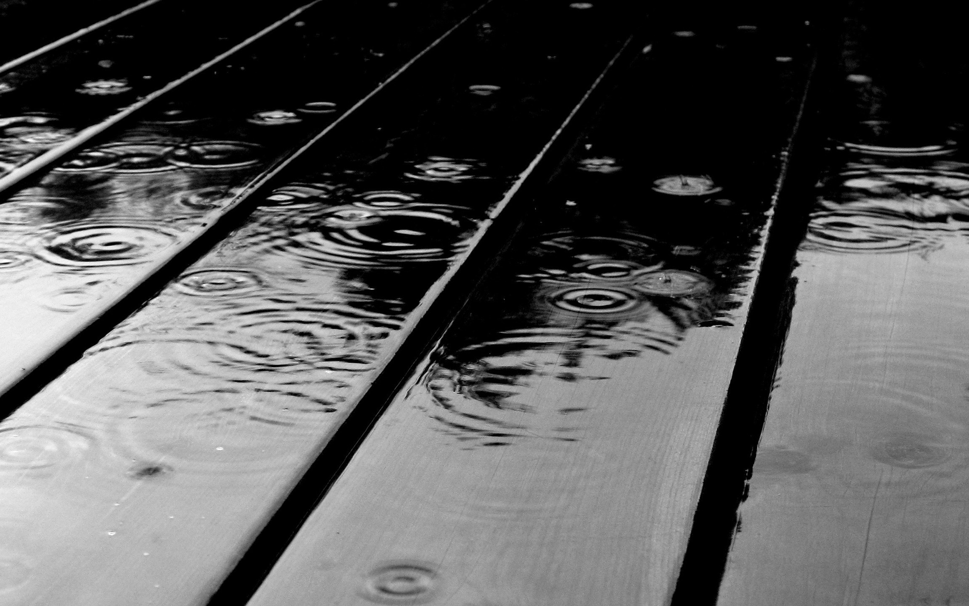 Download mobile wallpaper Rain, Wood, Photography, Water Drop for free.