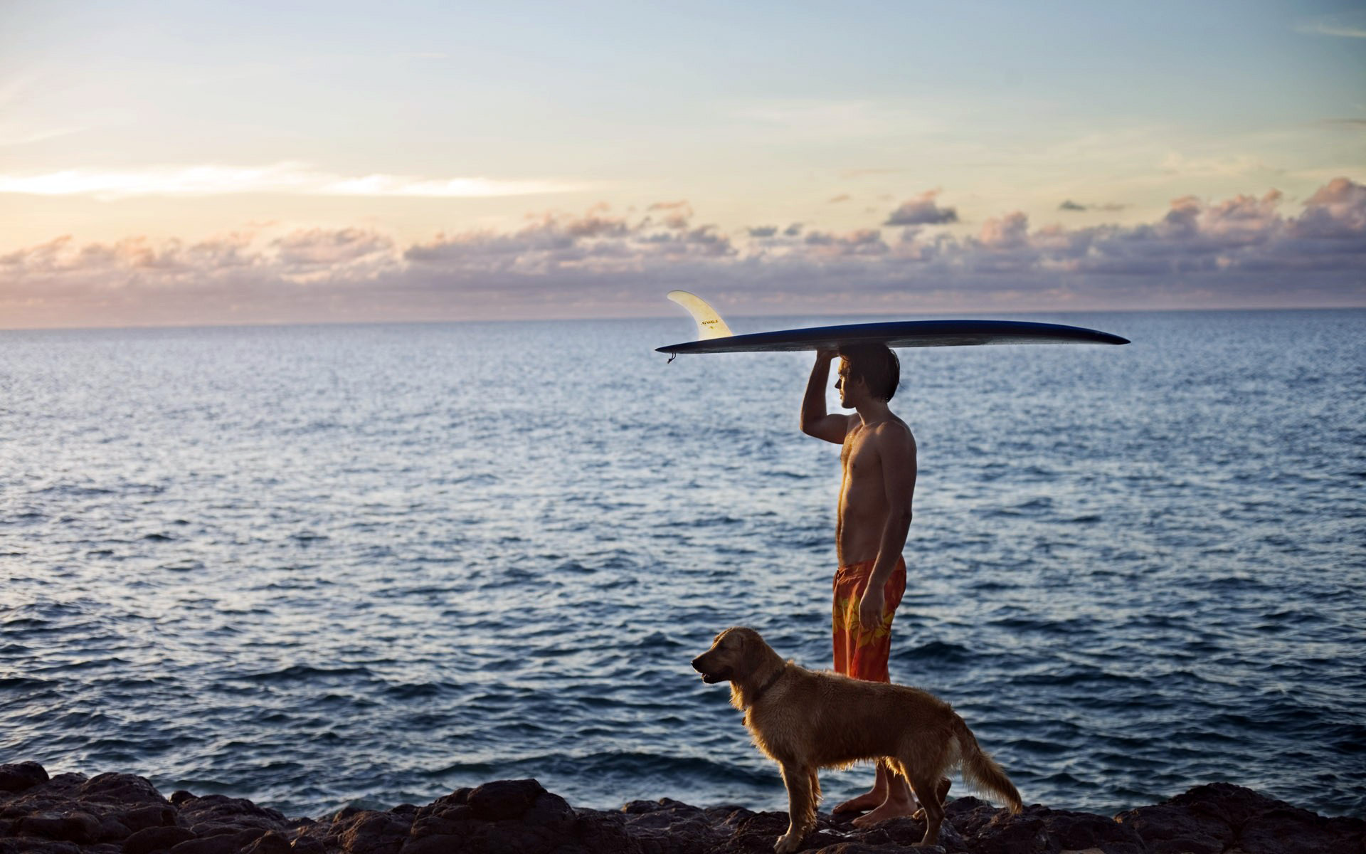 524179 baixar papel de parede esportes, surfe, cão, oceano, prancha de surfe - protetores de tela e imagens gratuitamente