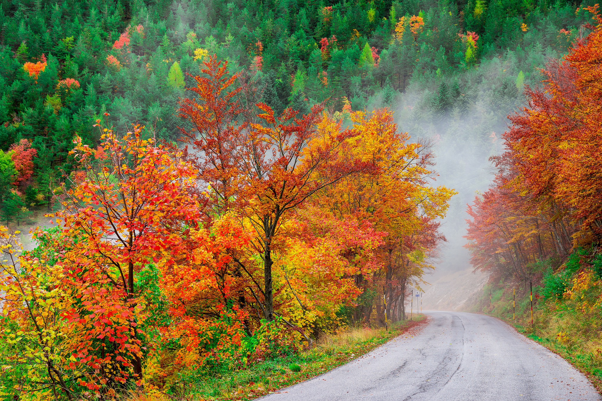 Скачать картинку Осень, Дорога, Дерево, Туман, Сделано Человеком в телефон бесплатно.