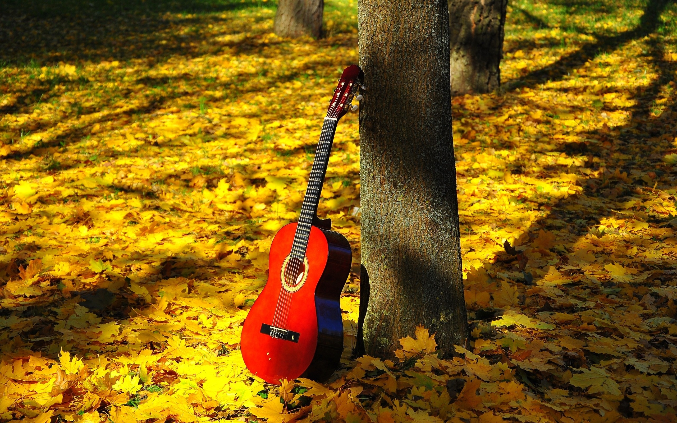 Скачать обои бесплатно Музыка, Осень, Гитара картинка на рабочий стол ПК