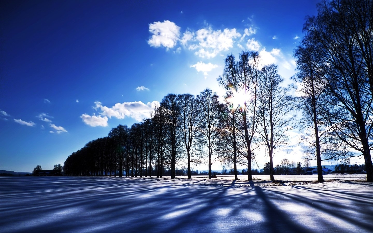 Download mobile wallpaper Landscape, Winter, Sky, Snow, Tree, Earth, Cloud, Season, Scenic for free.