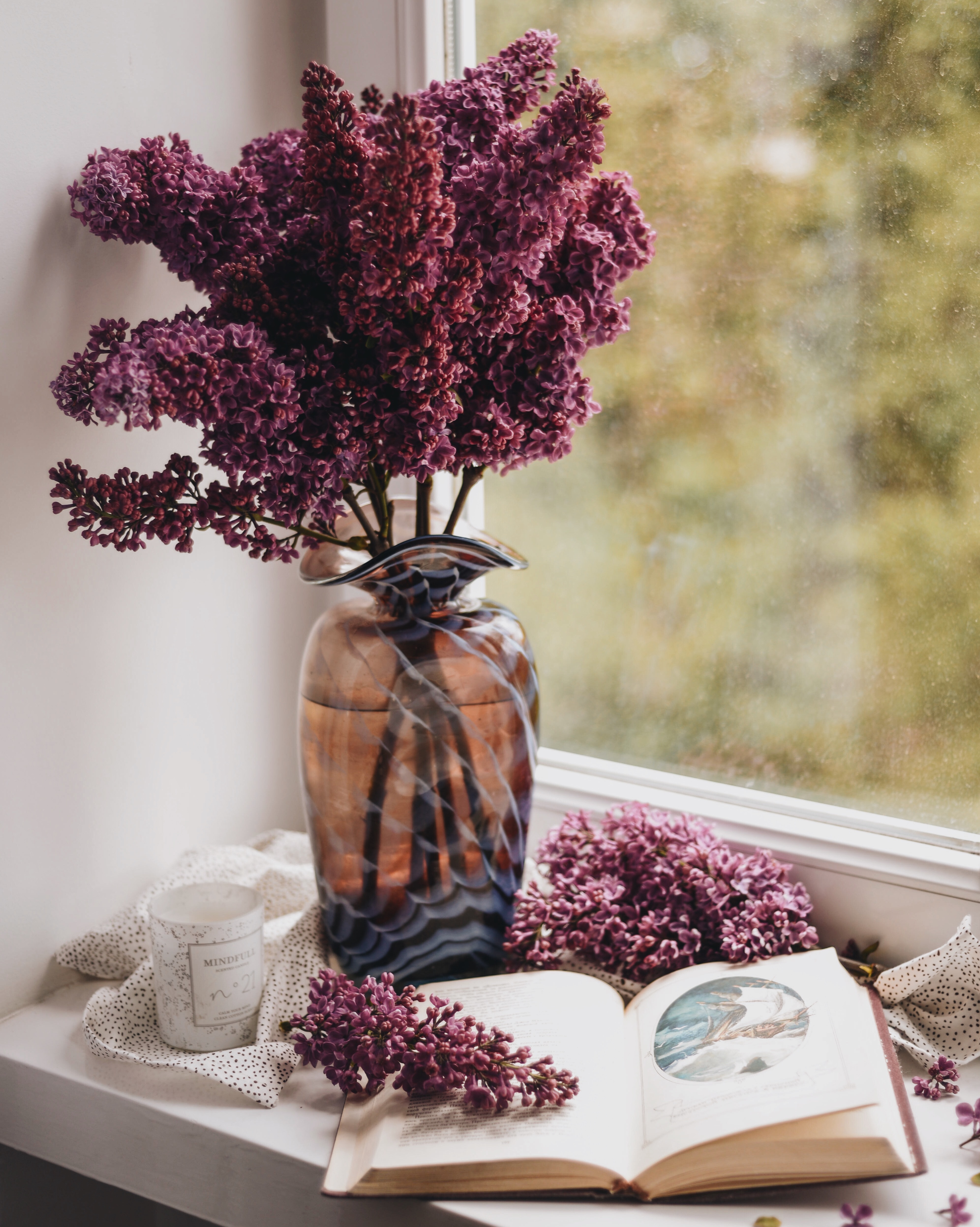 vase, comfort, lilac, miscellanea, miscellaneous, window, book, coziness High Definition image