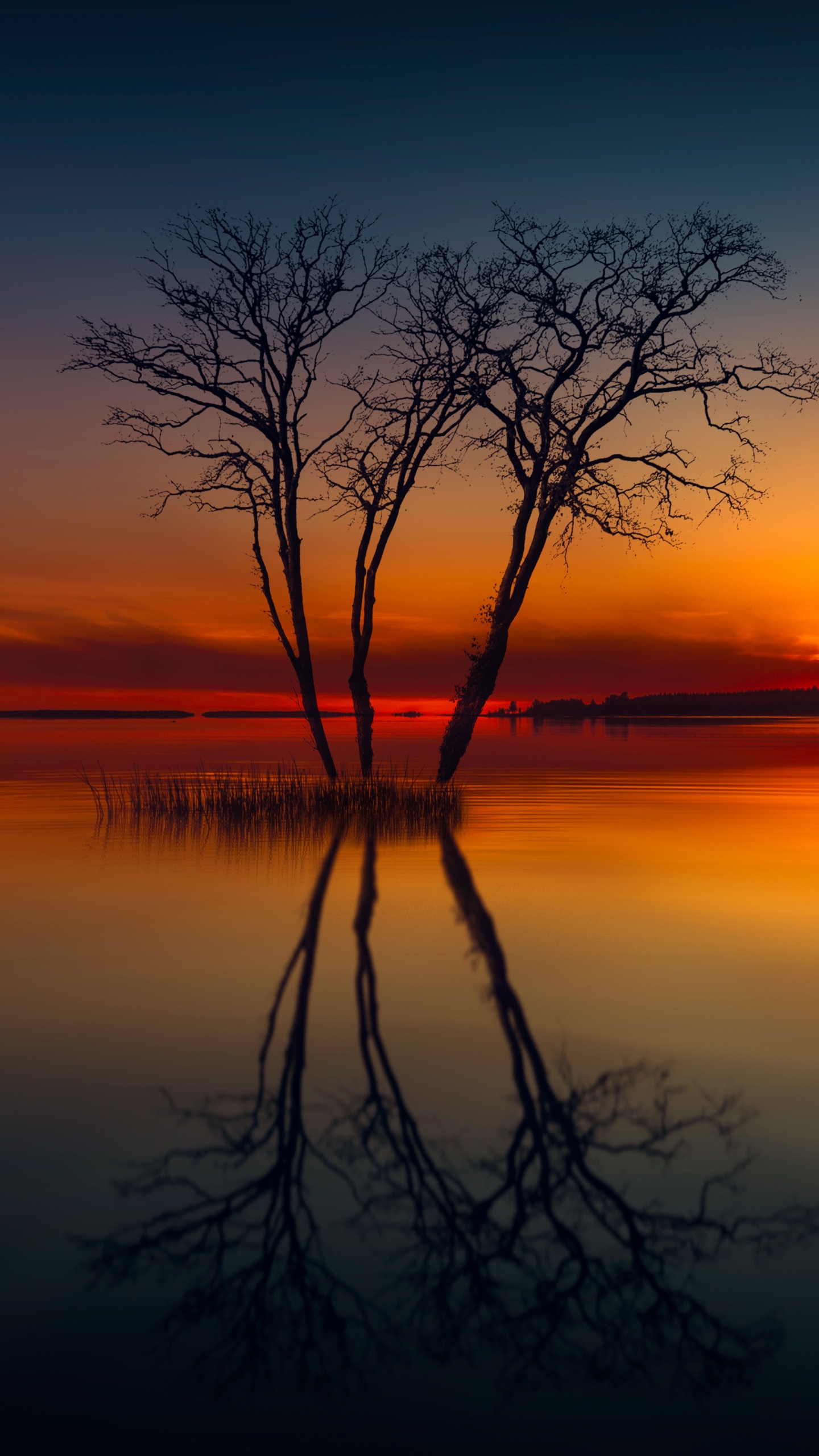 Download mobile wallpaper Nature, Sunset, Horizon, Lake, Reflection, Tree, Earth for free.