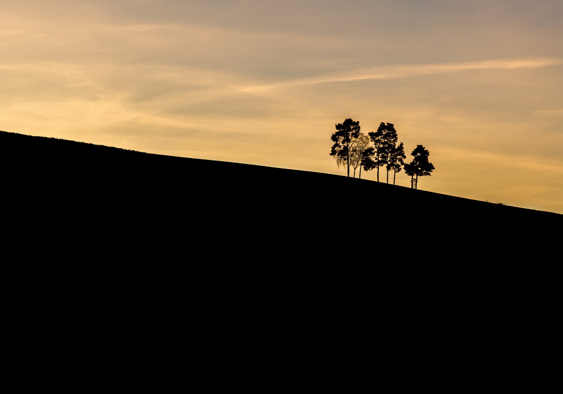 Handy-Wallpaper Natur, Silhouette, Baum, Sonnenaufgang, Erde/natur kostenlos herunterladen.