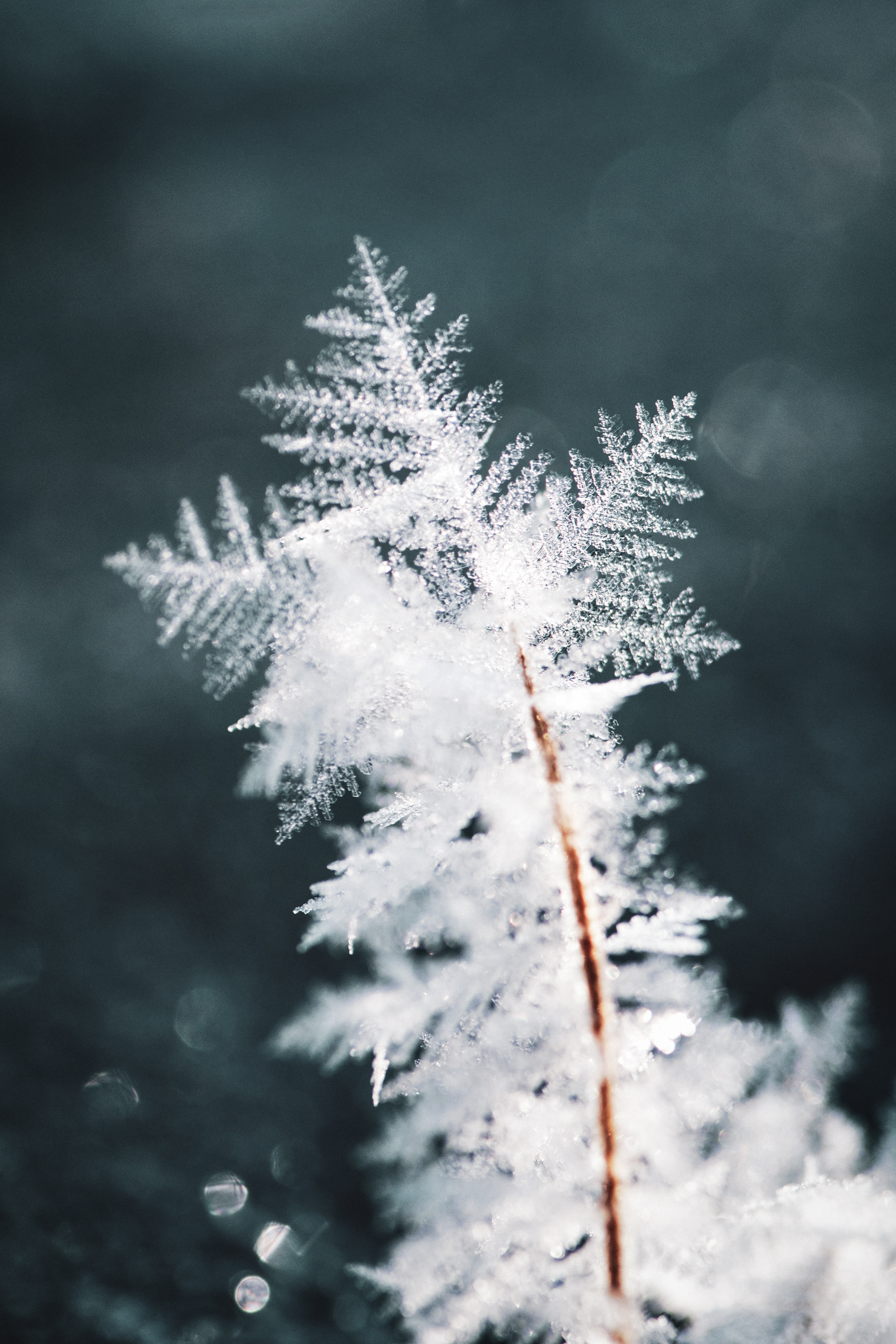 pattern, ice, snow, macro, snowflake Image for desktop