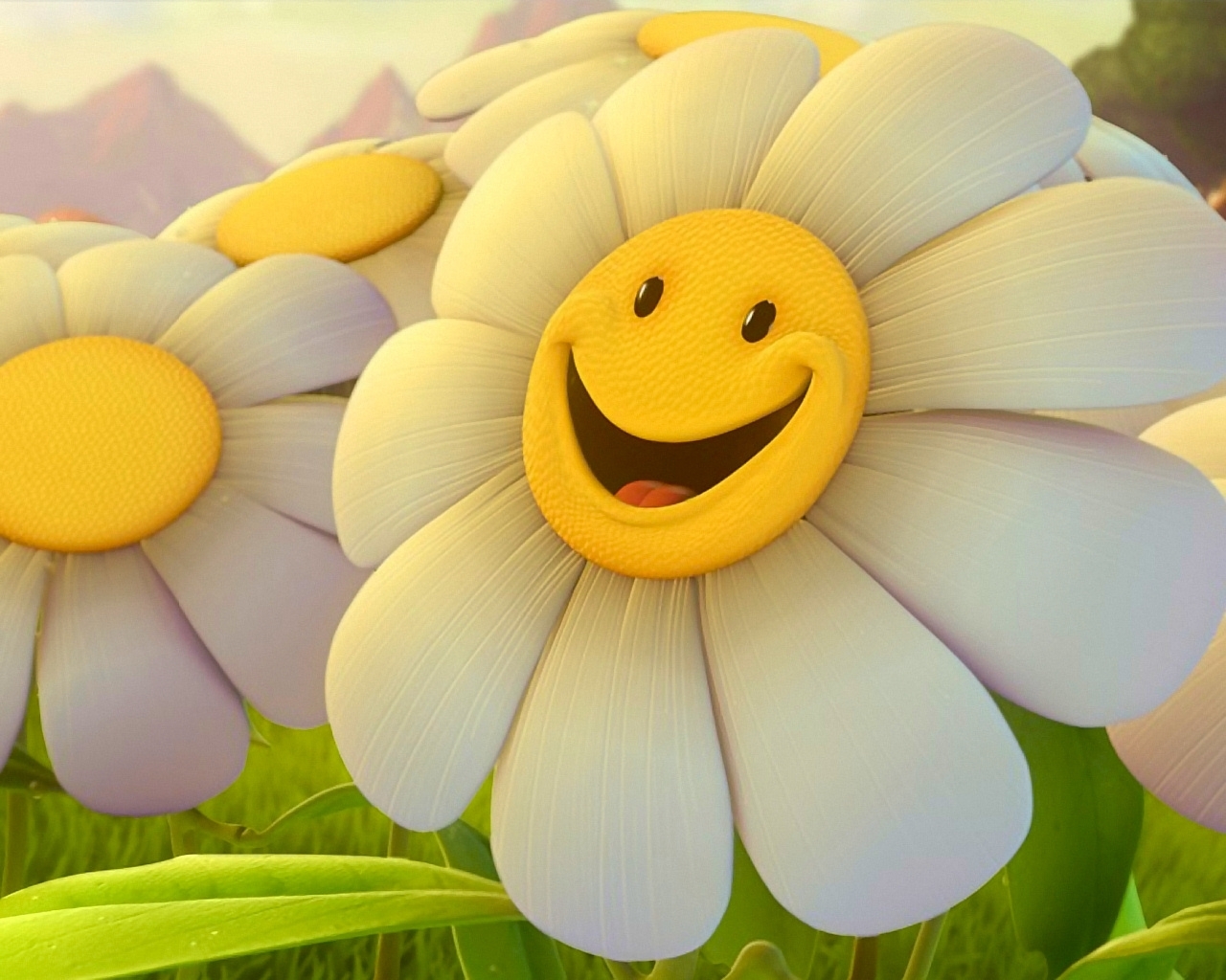 flowers, funny, camomile, plants, yellow Full HD