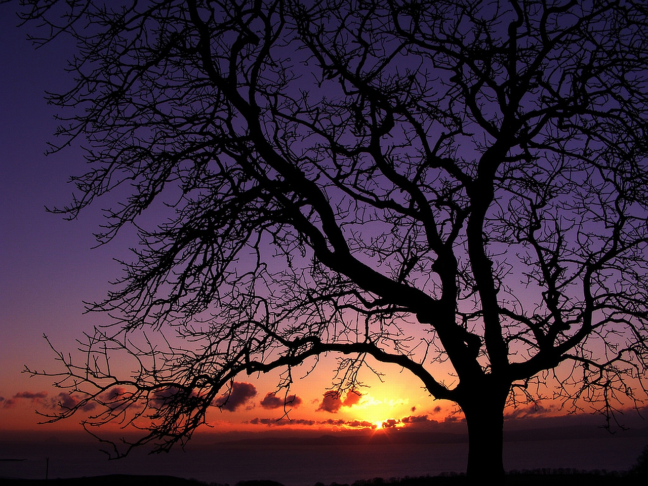 Téléchargez gratuitement l'image Coucher De Soleil, Terre/nature sur le bureau de votre PC