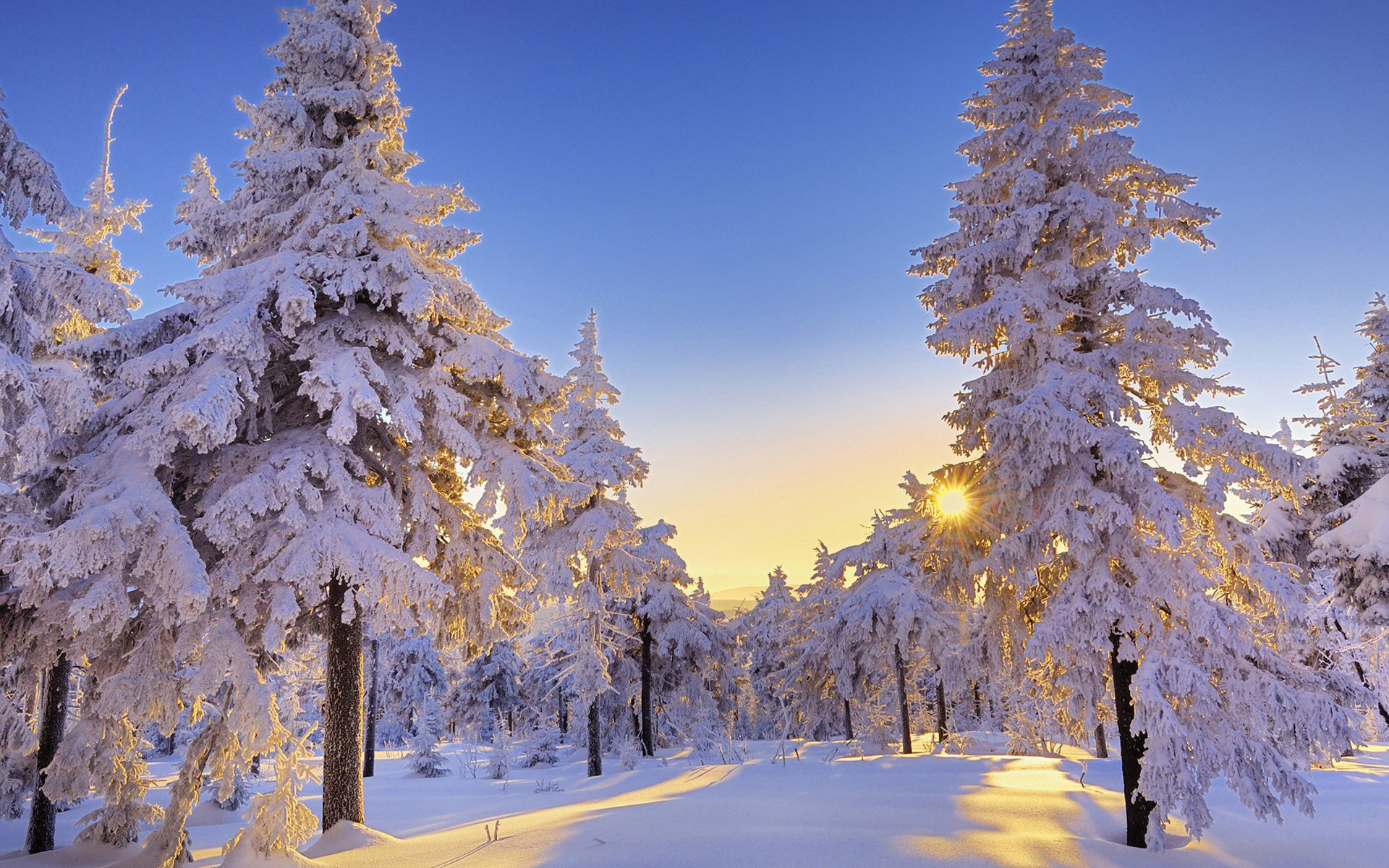 Téléchargez gratuitement l'image Hiver, Terre/nature sur le bureau de votre PC