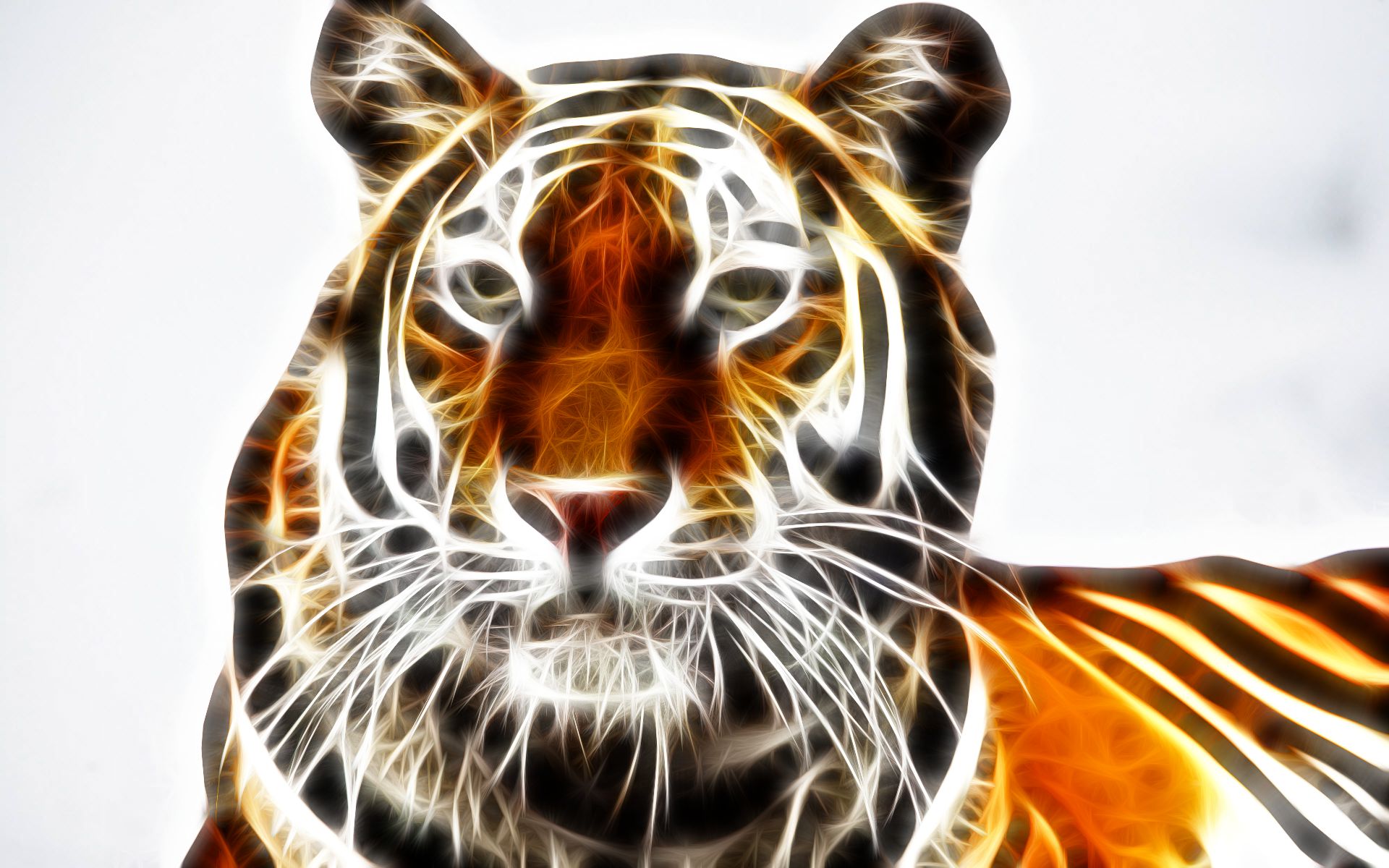 Free download wallpaper Cats, Tiger, Animal on your PC desktop