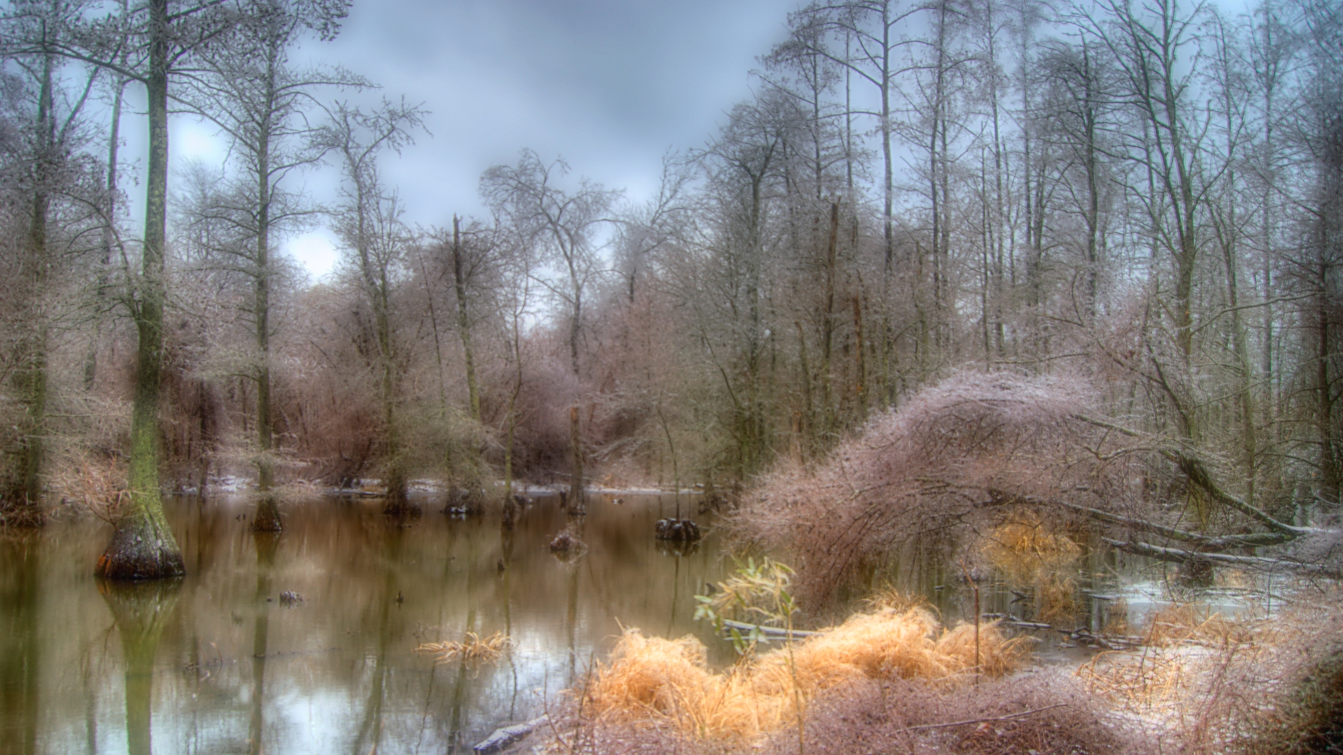 Laden Sie das Erde/natur, Moor-Bild kostenlos auf Ihren PC-Desktop herunter