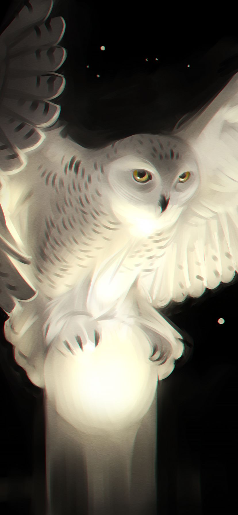 Download mobile wallpaper Birds, Owl, Animal, Snowy Owl for free.