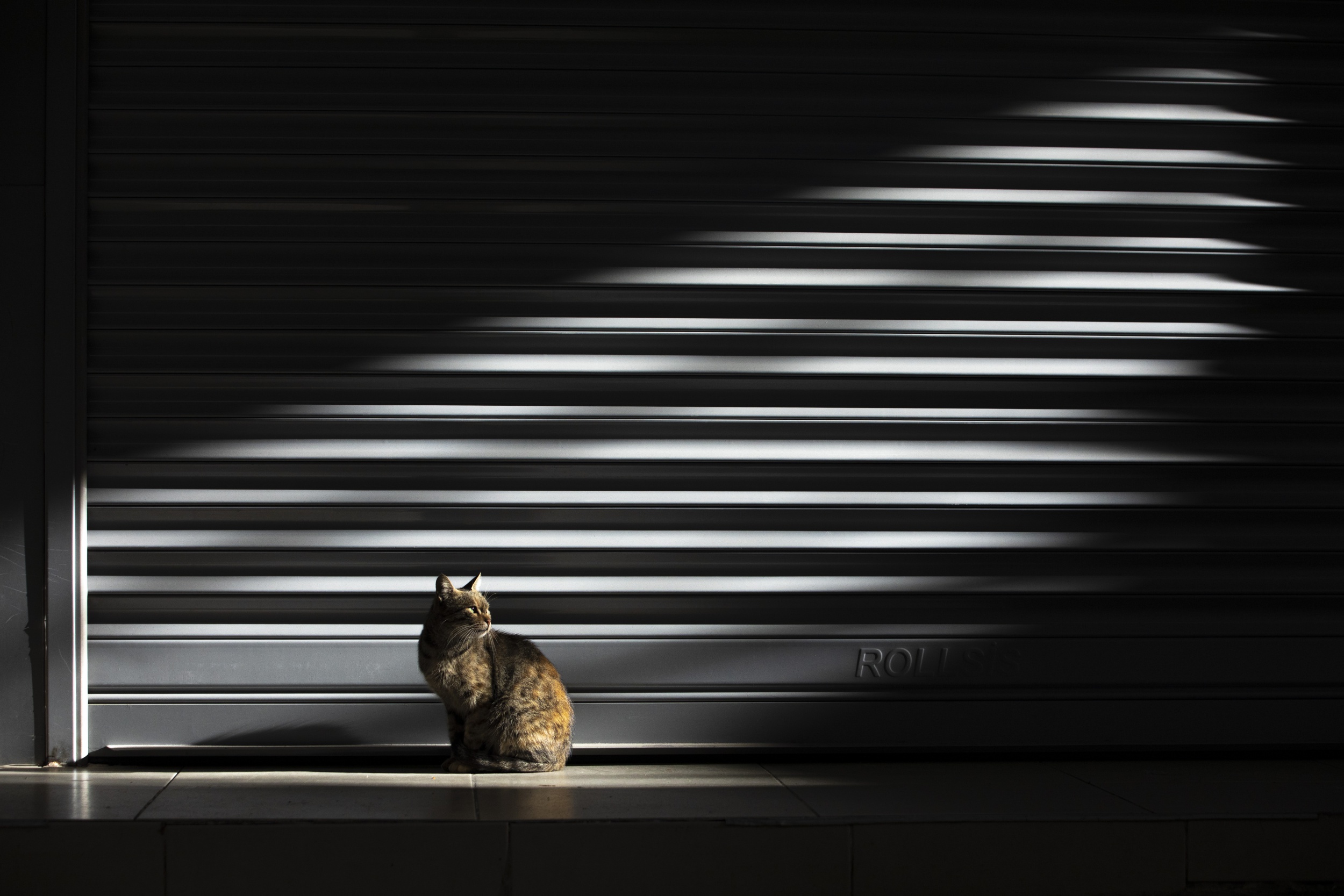 Handy-Wallpaper Tiere, Katzen, Licht, Katze kostenlos herunterladen.