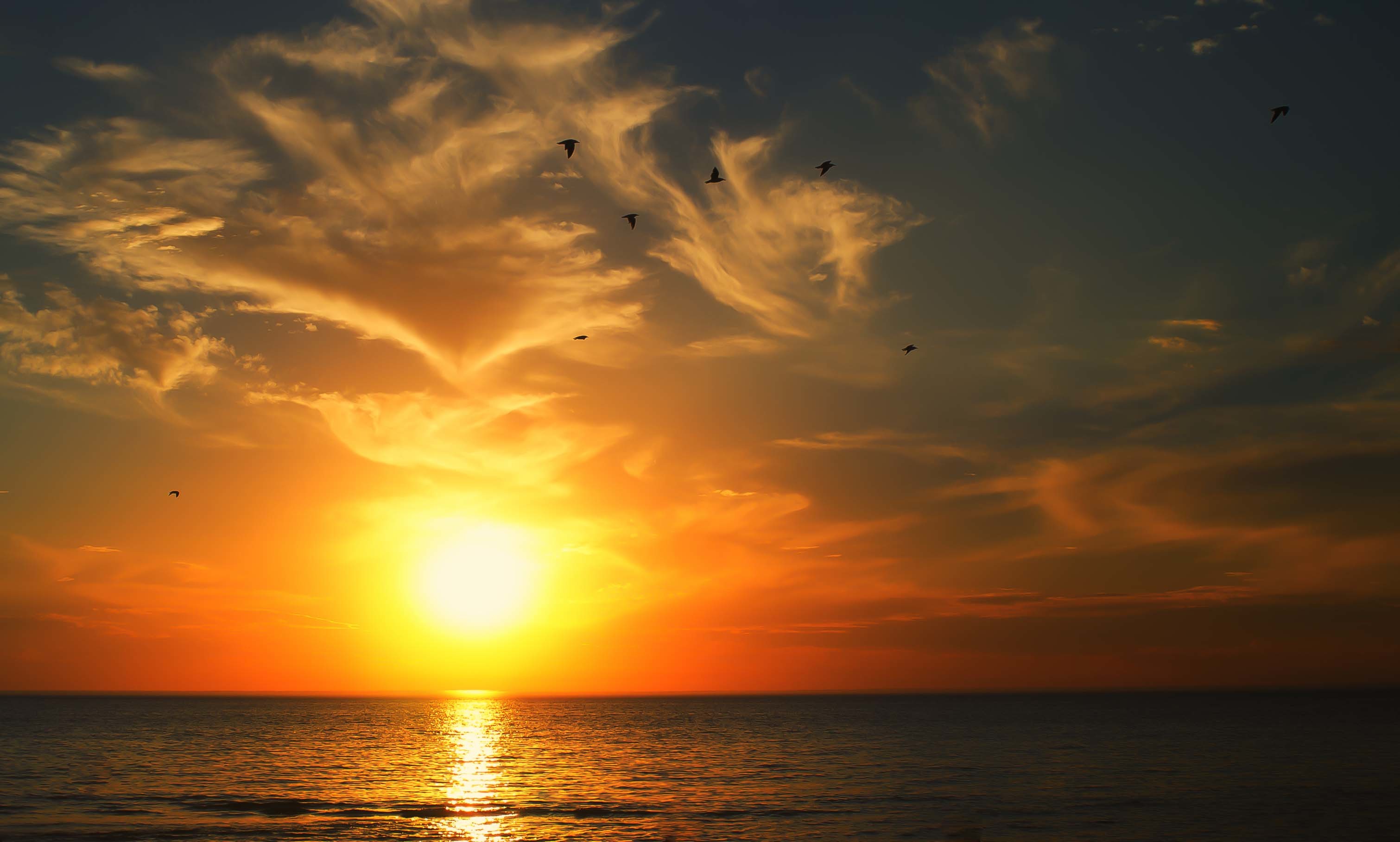Скачать обои бесплатно Море, Солнце, Горизонт, Океан, Земля/природа, Закат Солнца картинка на рабочий стол ПК