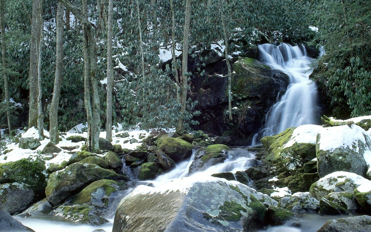 Baixar papel de parede para celular de Terra/natureza, Cachoeira gratuito.