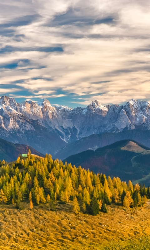 Handy-Wallpaper Landschaft, Natur, Kiefer, Berg, Gipfel, Wald, Baum, Alpen, Gebirge, Wolke, Fotografie kostenlos herunterladen.
