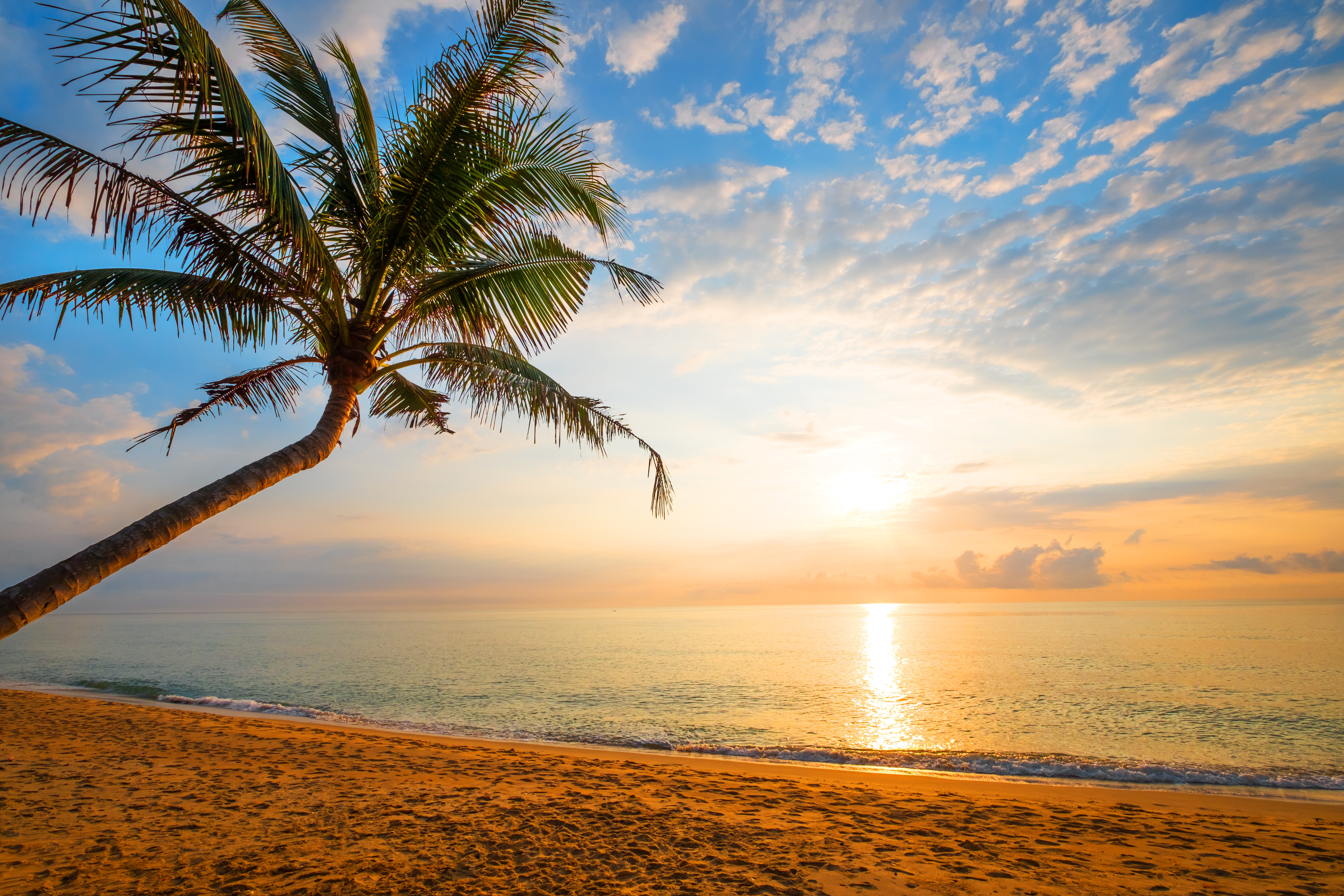Free download wallpaper Nature, Sky, Horizon, Ocean, Earth, Tropical, Palm Tree on your PC desktop