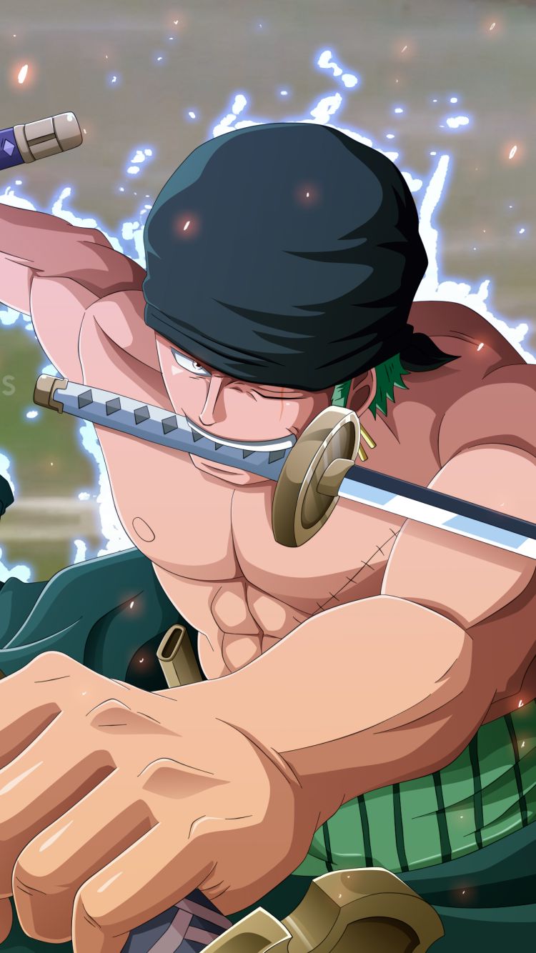 Download mobile wallpaper Anime, One Piece, Roronoa Zoro for free.