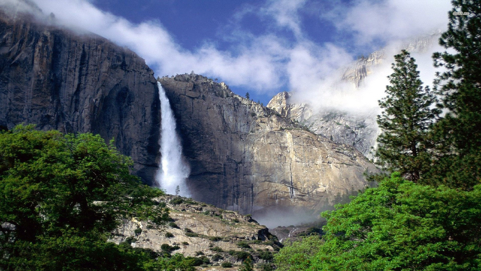 Baixe gratuitamente a imagem Árvore, Parque Nacional De Yosemite, Terra/natureza, Cachoeira na área de trabalho do seu PC
