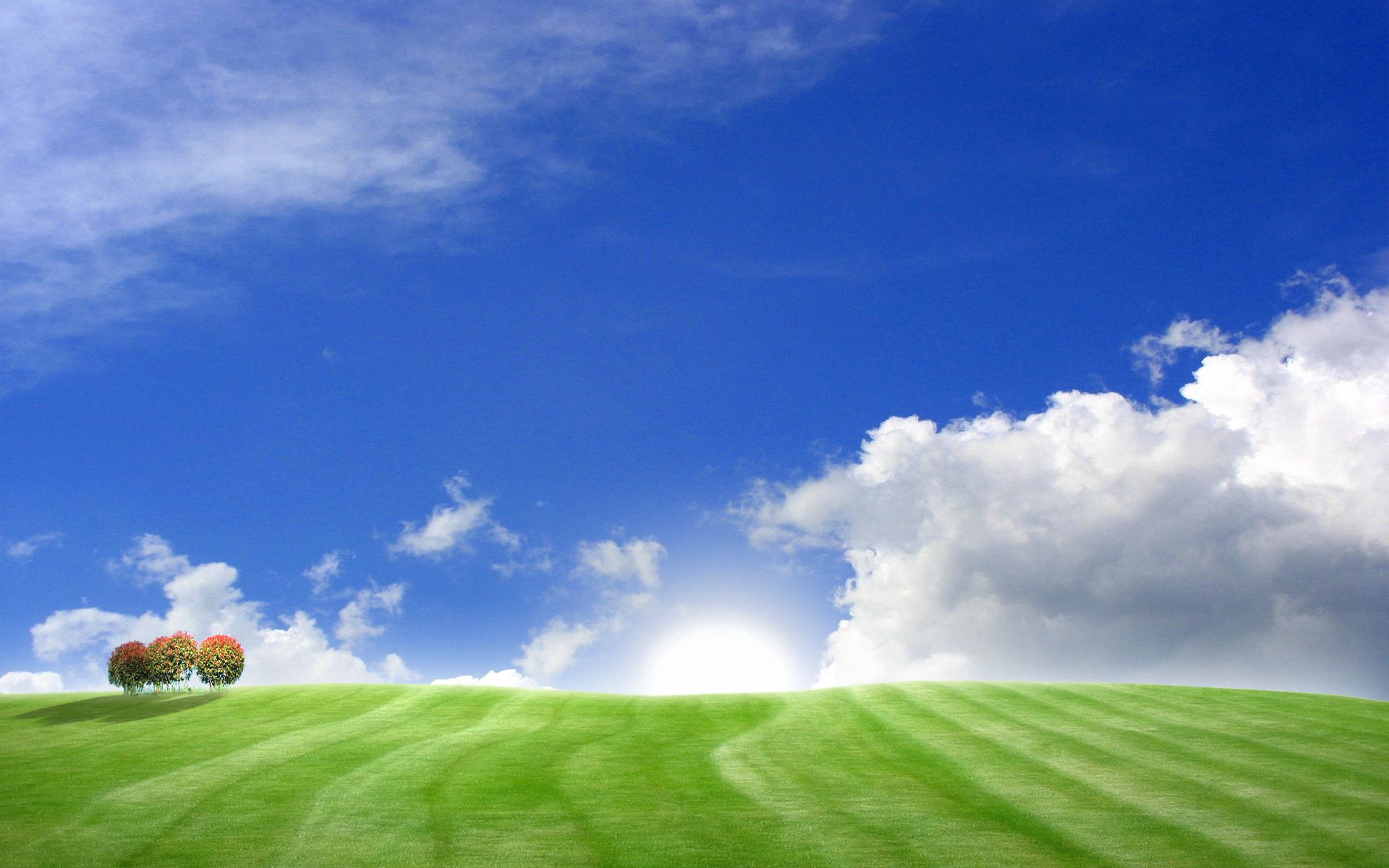 141723 télécharger l'image nature, arbres, sky, nuages, jour, prairies - fonds d'écran et économiseurs d'écran gratuits