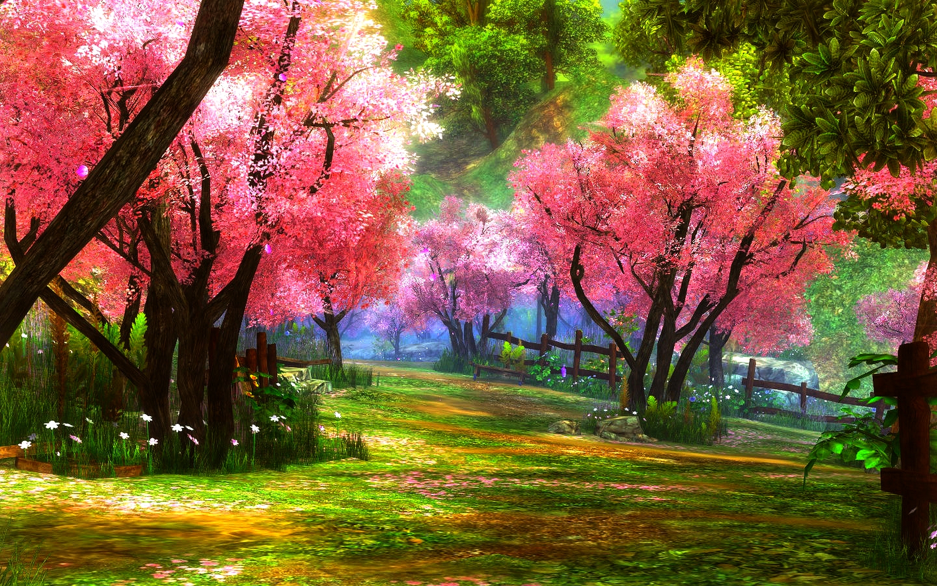 PCデスクトップに木, 花, 公園, 春, 写真撮影画像を無料でダウンロード