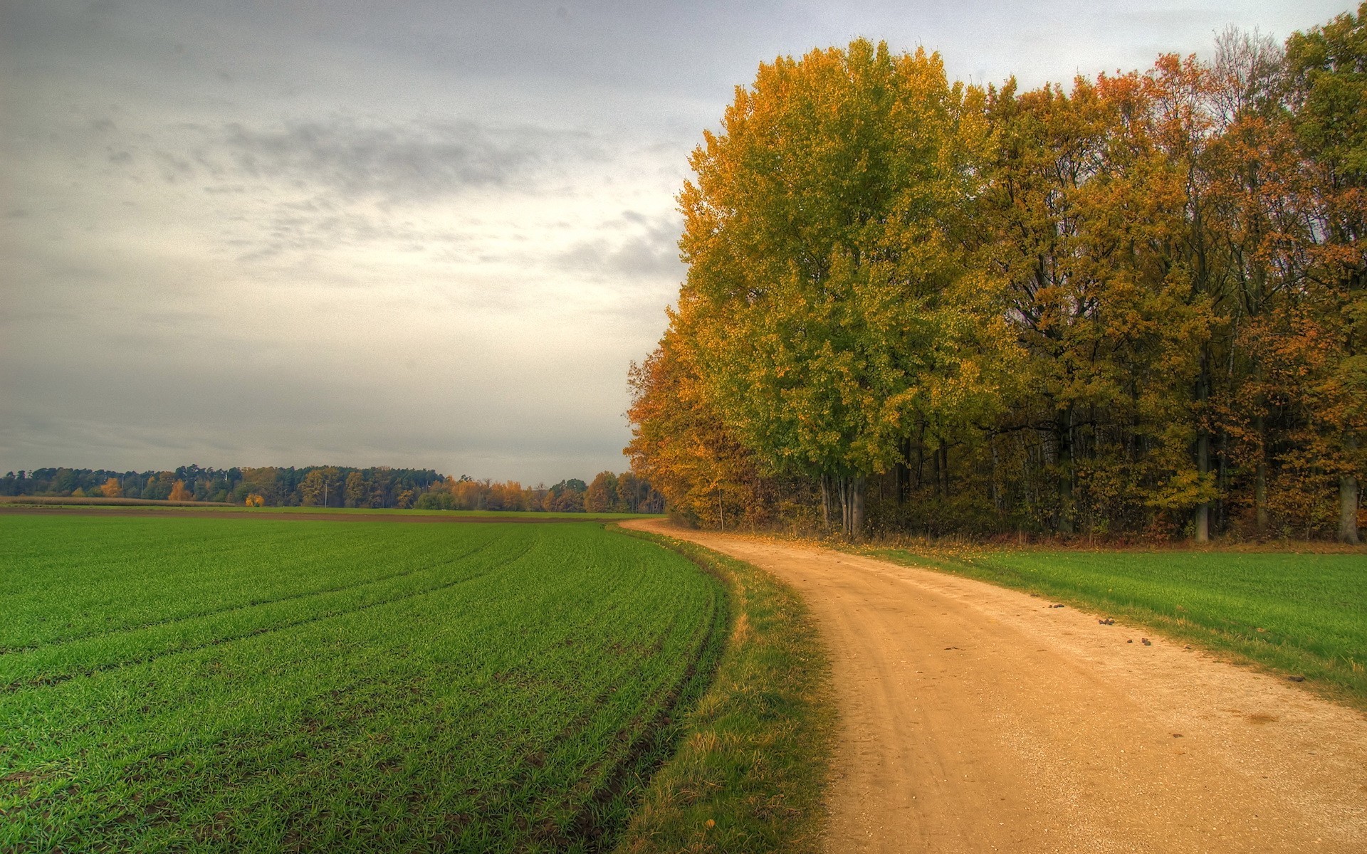 Download mobile wallpaper Trees, Roads, Fields, Landscape for free.
