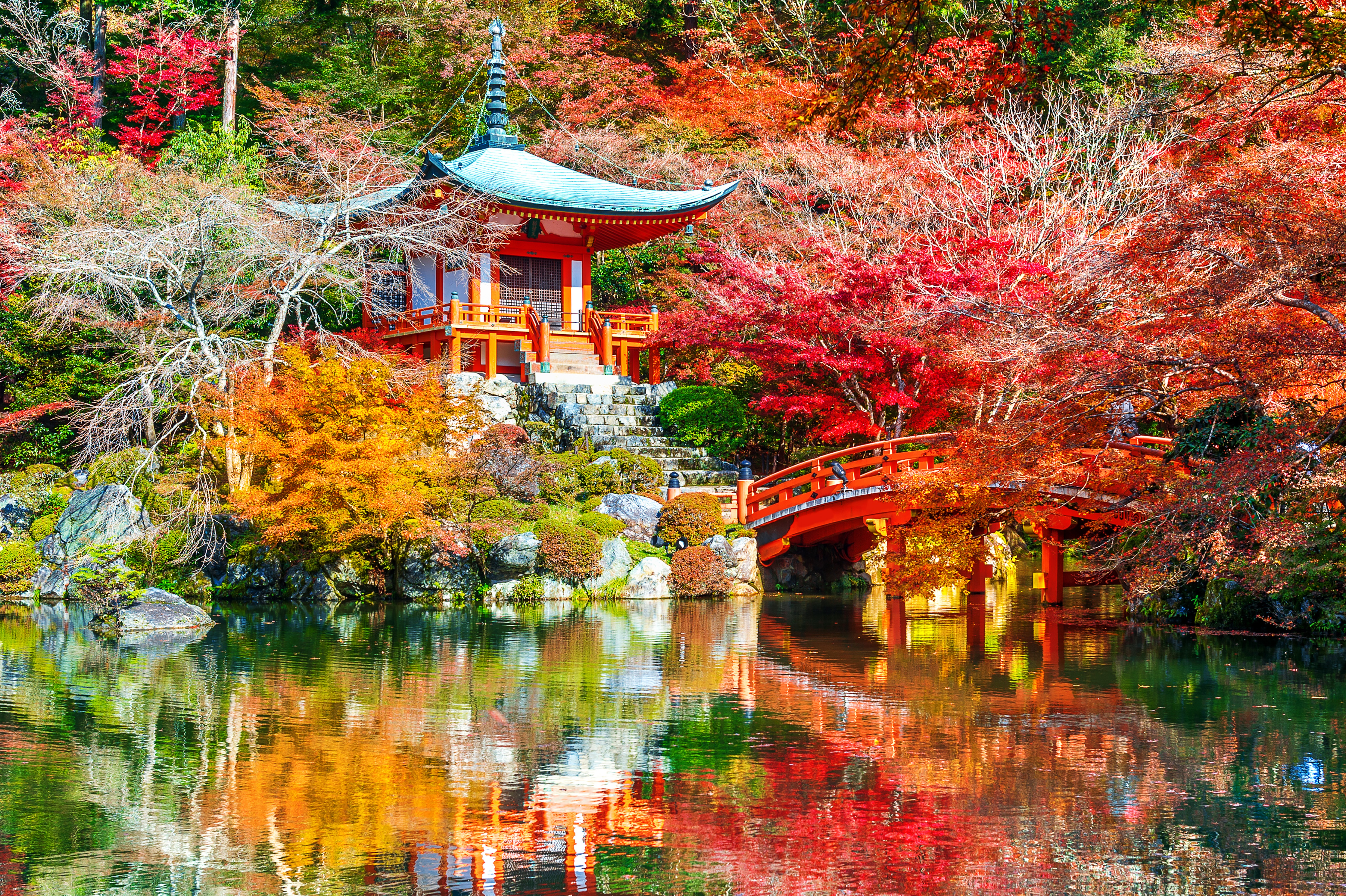 Handy-Wallpaper Natur, Herbst, See, Park, Brücke, Japan, Tempel, Religiös, Kyōto, Daigo Ji kostenlos herunterladen.