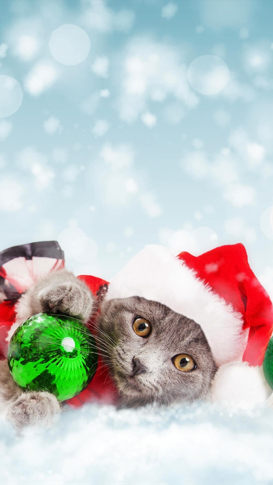 Handy-Wallpaper Feiertage, Schnee, Weihnachten, Katze, Kätzchen, Hund, Welpen, Weihnachtsschmuck, Schneefall, Tierbaby, Weihnachtsmütze, Katz & Hund, Welpe kostenlos herunterladen.
