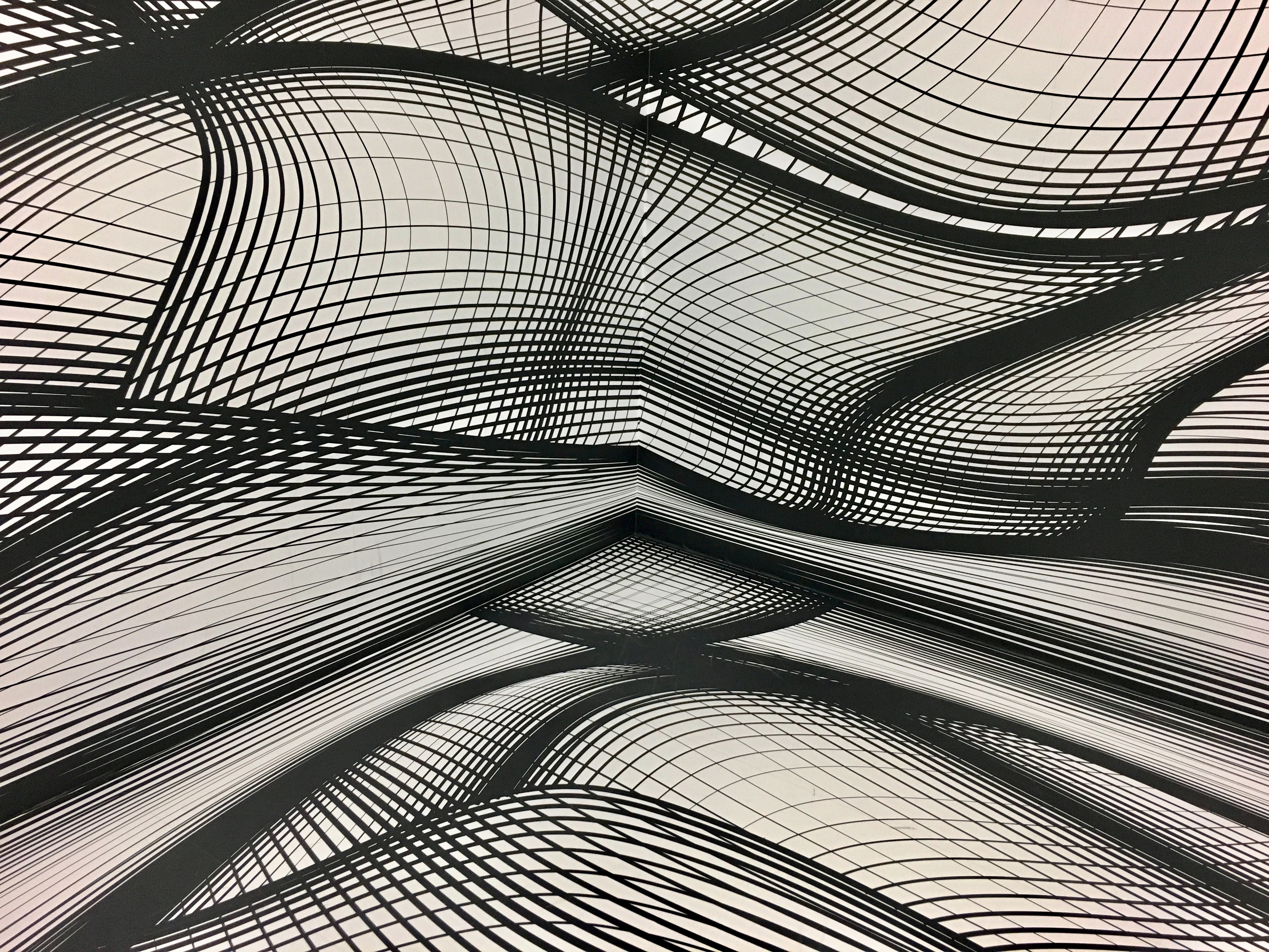 abstract, lines, form, wavy, monochrome, plexus, forms