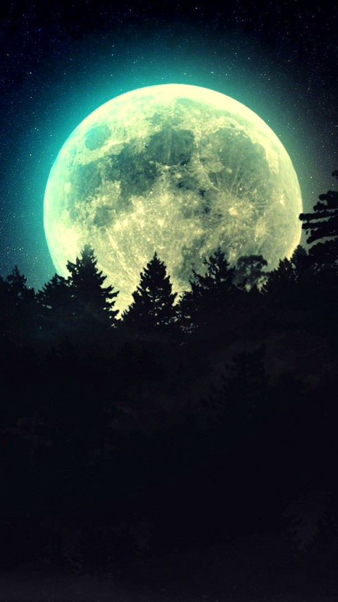 Download mobile wallpaper Night, Moon, Dark, Silhouette, Forest, Earth for free.