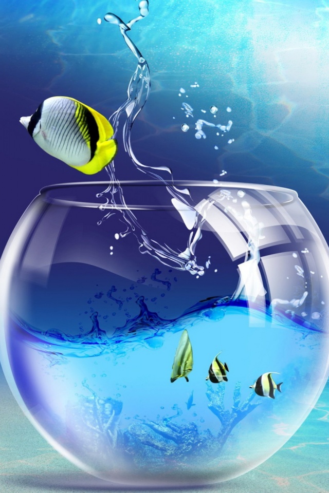 Download mobile wallpaper Fishes, Animal, Fish, Fish Bowl for free.
