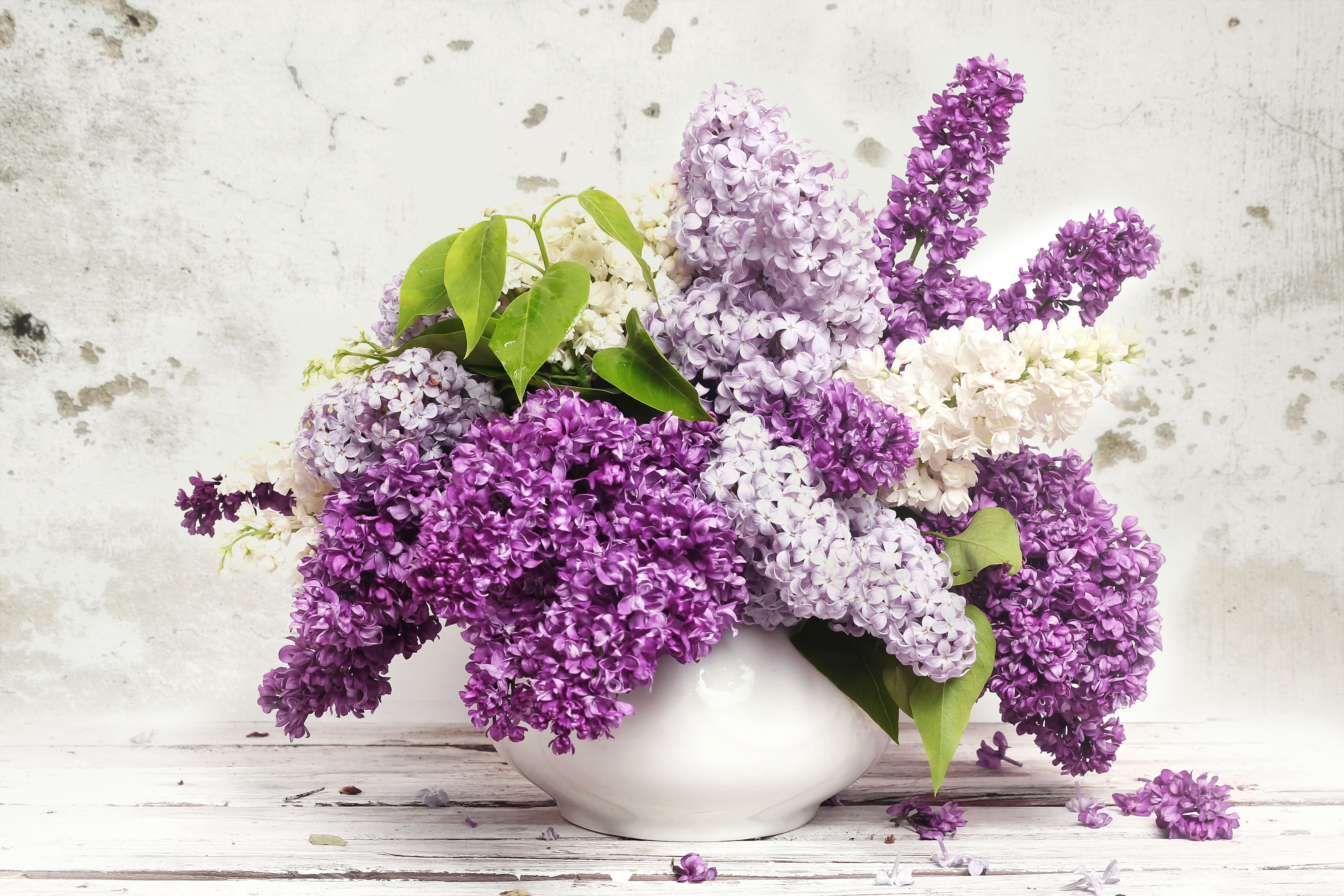 Download mobile wallpaper Lilac, Flower, Vase, Purple Flower, Man Made for free.