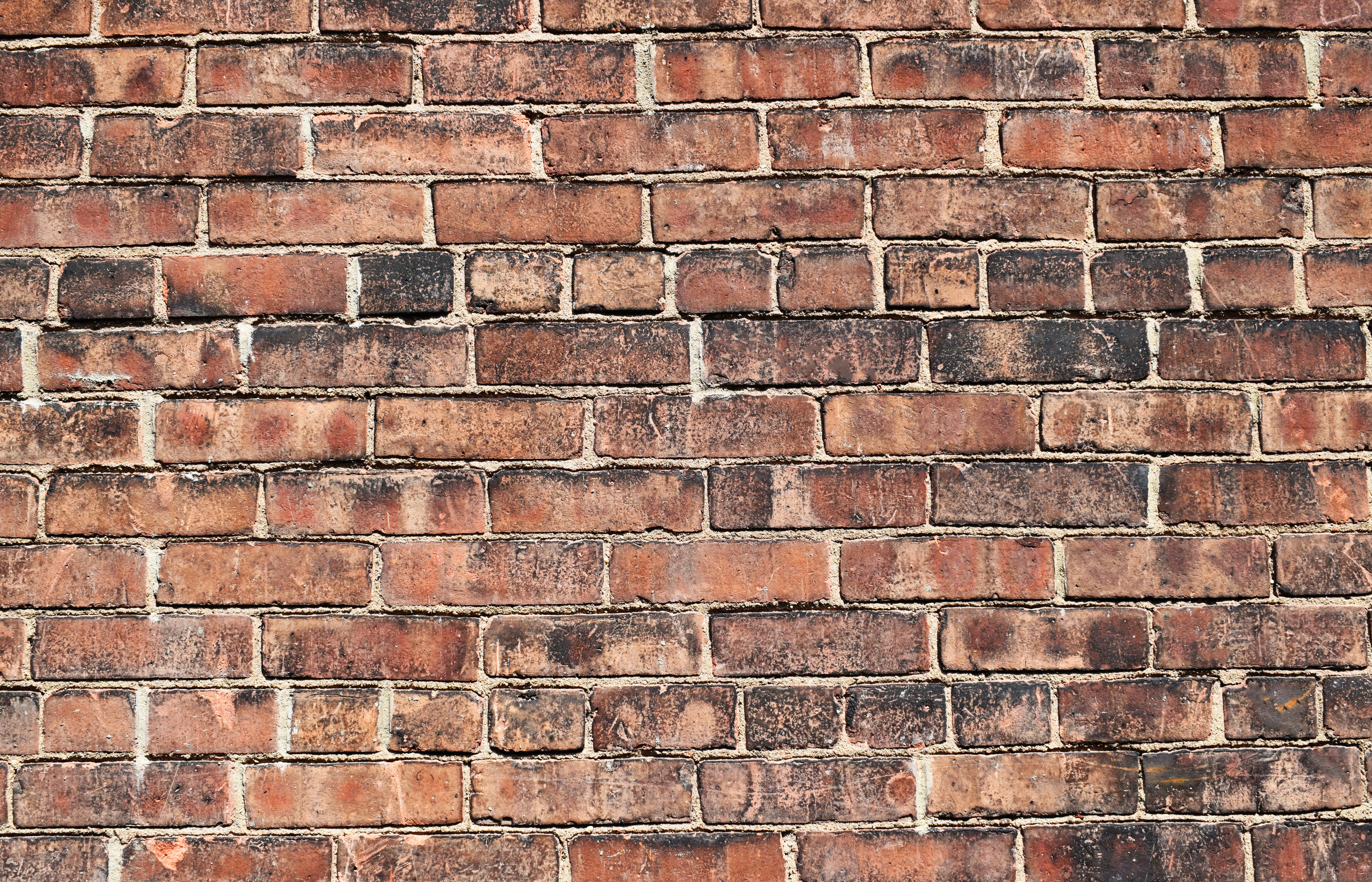 Free download wallpaper Texture, Surface, Textures, Wall, Bricks, Brick Wall on your PC desktop