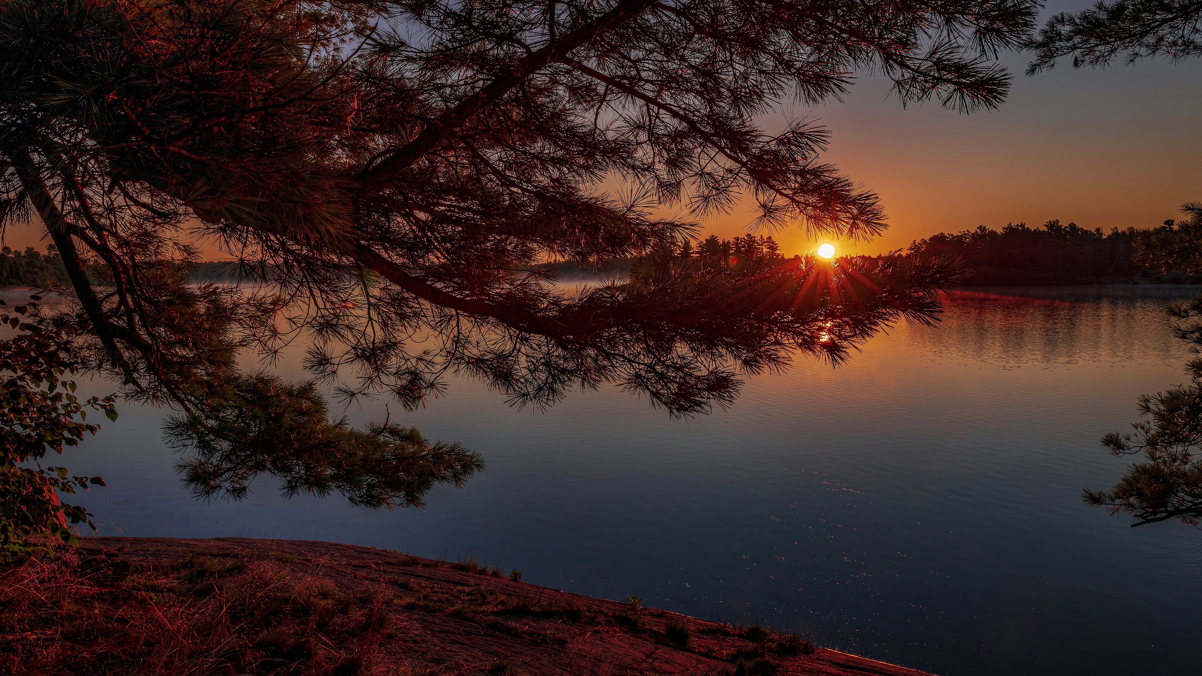 Free download wallpaper Sunset, Twilight, Lake, Branch, Earth, Evening, Pine Tree on your PC desktop