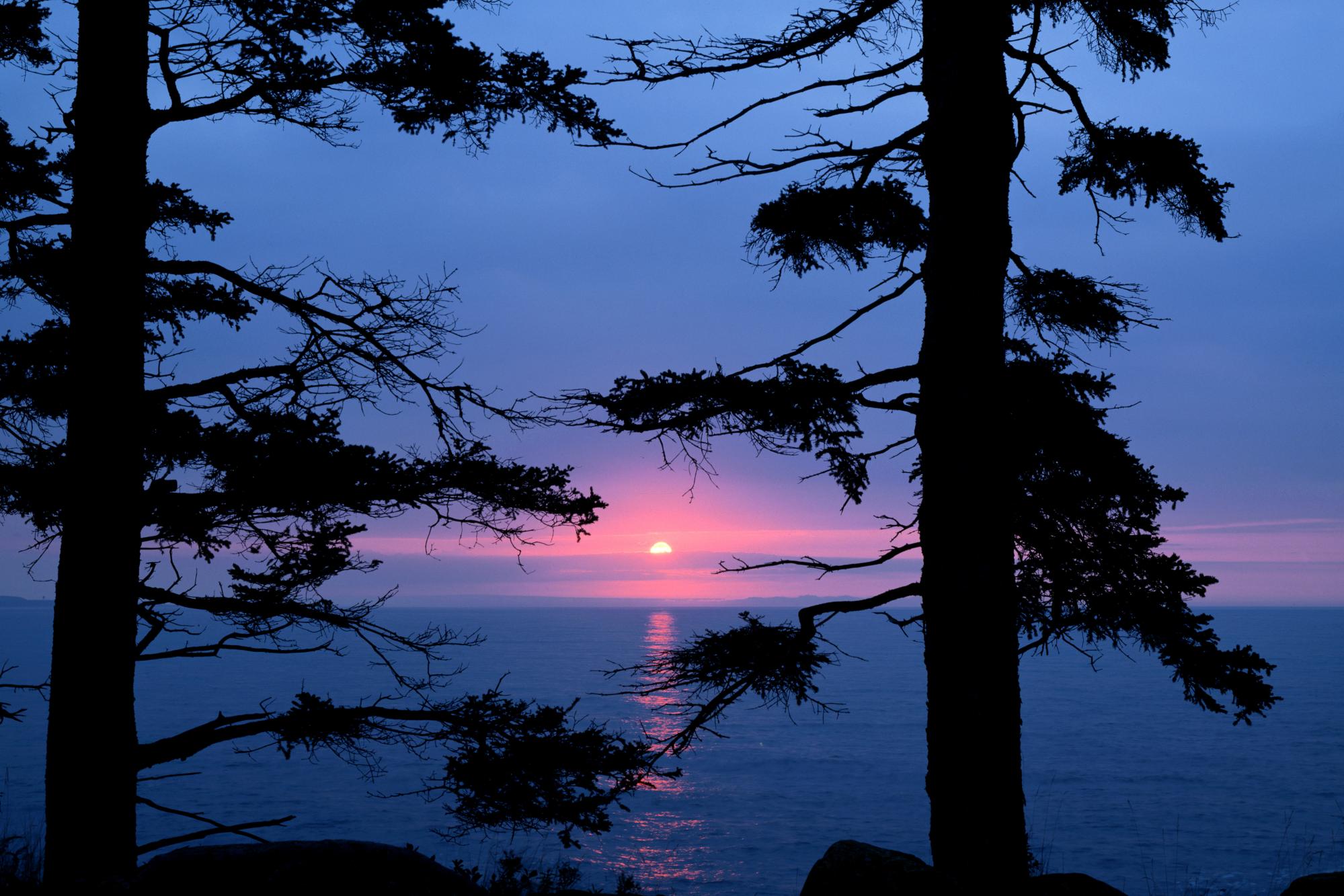 Free download wallpaper Sunset, Sun, Lake, Silhouette, Tree, Earth on your PC desktop