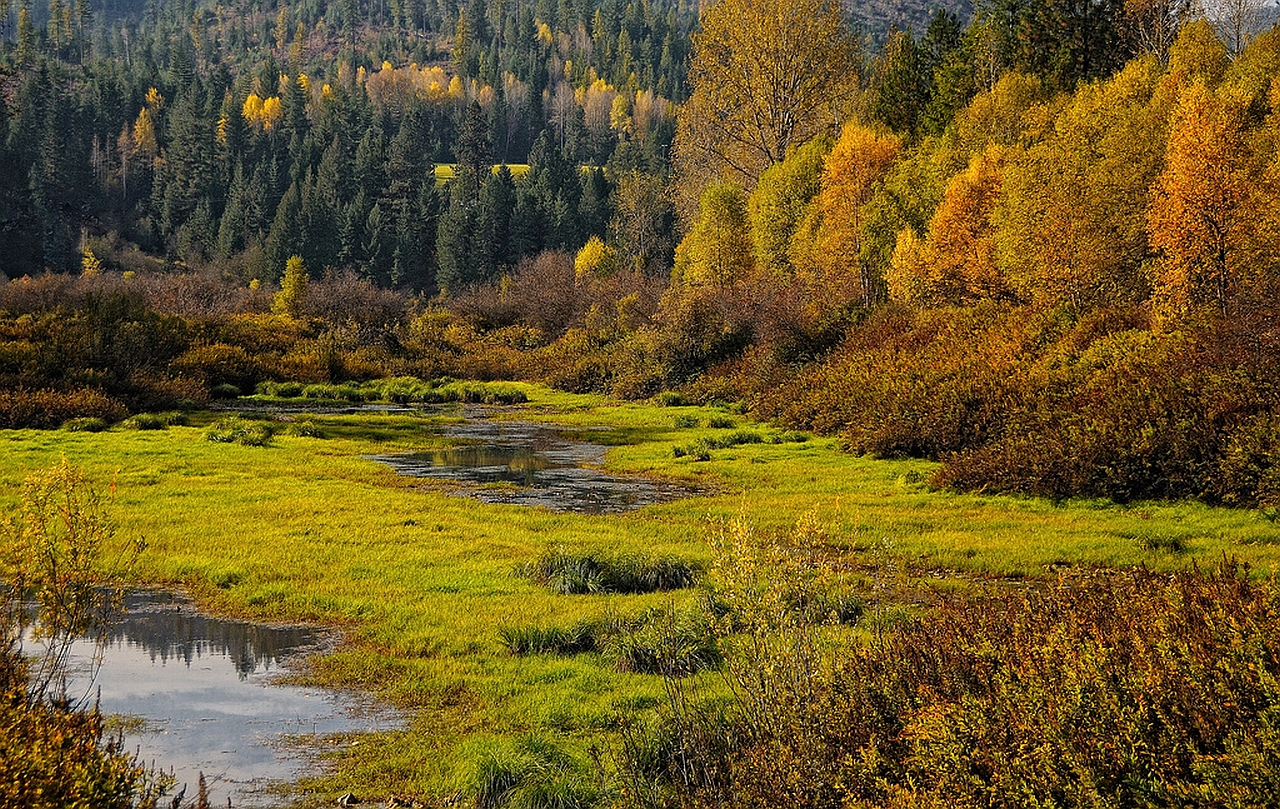 Téléchargez gratuitement l'image Paysage, Terre/nature sur le bureau de votre PC