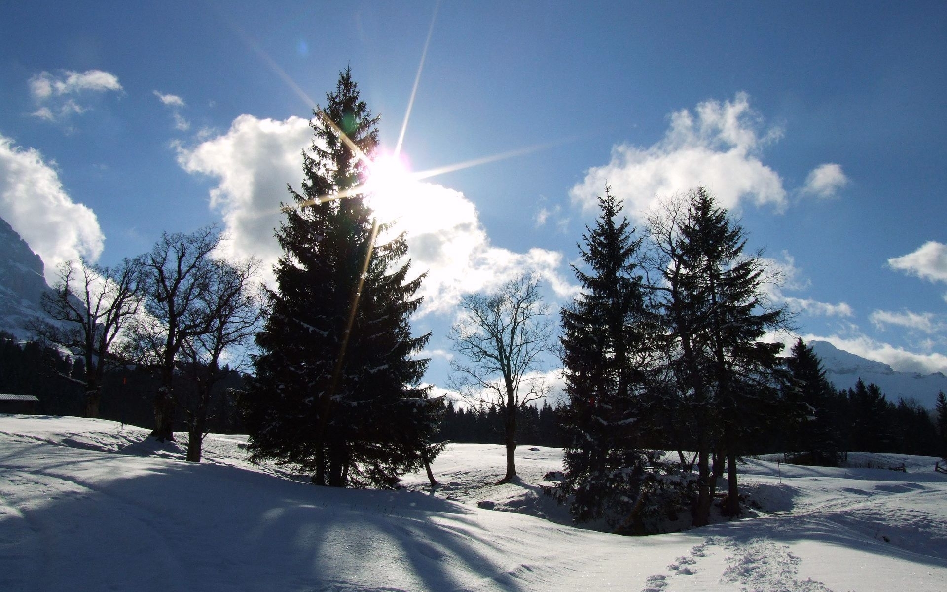 Laden Sie das Natur, Landschaft, Bäume, Schnee, Tannenbaum, Winter-Bild kostenlos auf Ihren PC-Desktop herunter