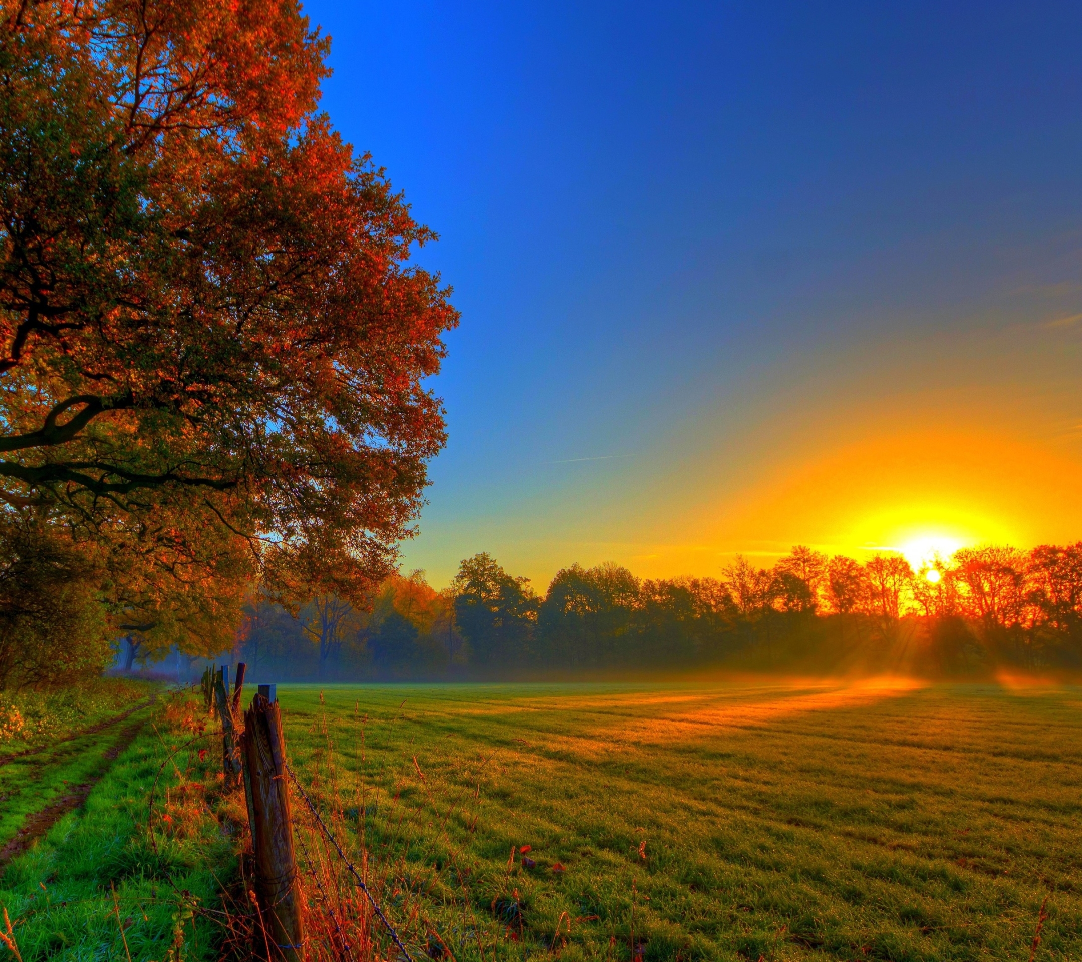 Free download wallpaper Sunset, Sky, Fall, Earth, Field on your PC desktop