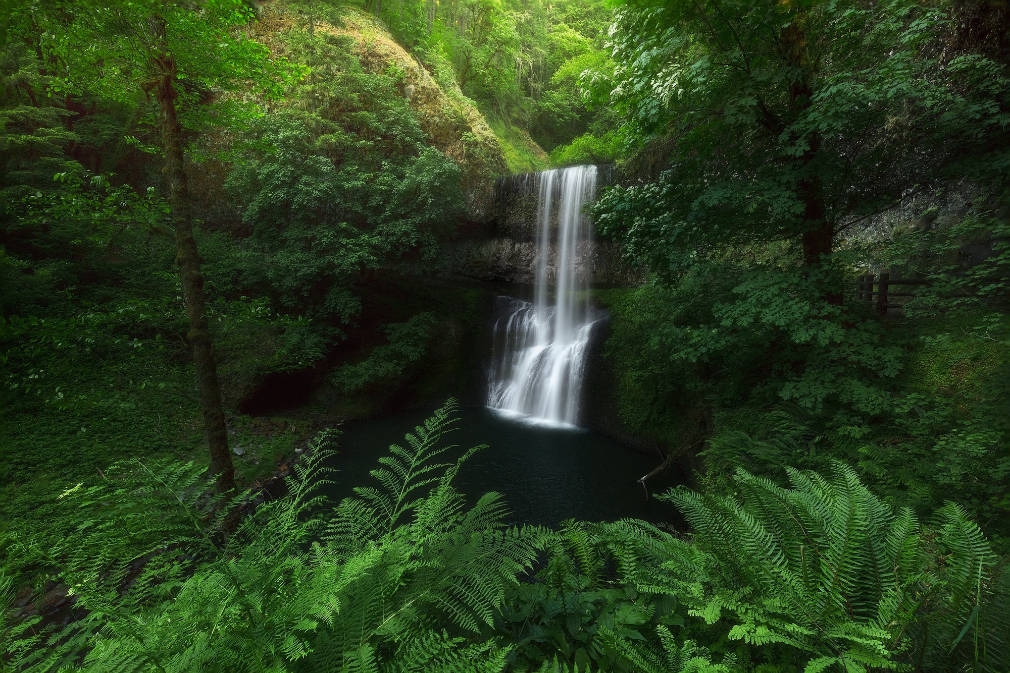 Download mobile wallpaper Nature, Waterfalls, Waterfall, Fern, Earth, Greenery for free.