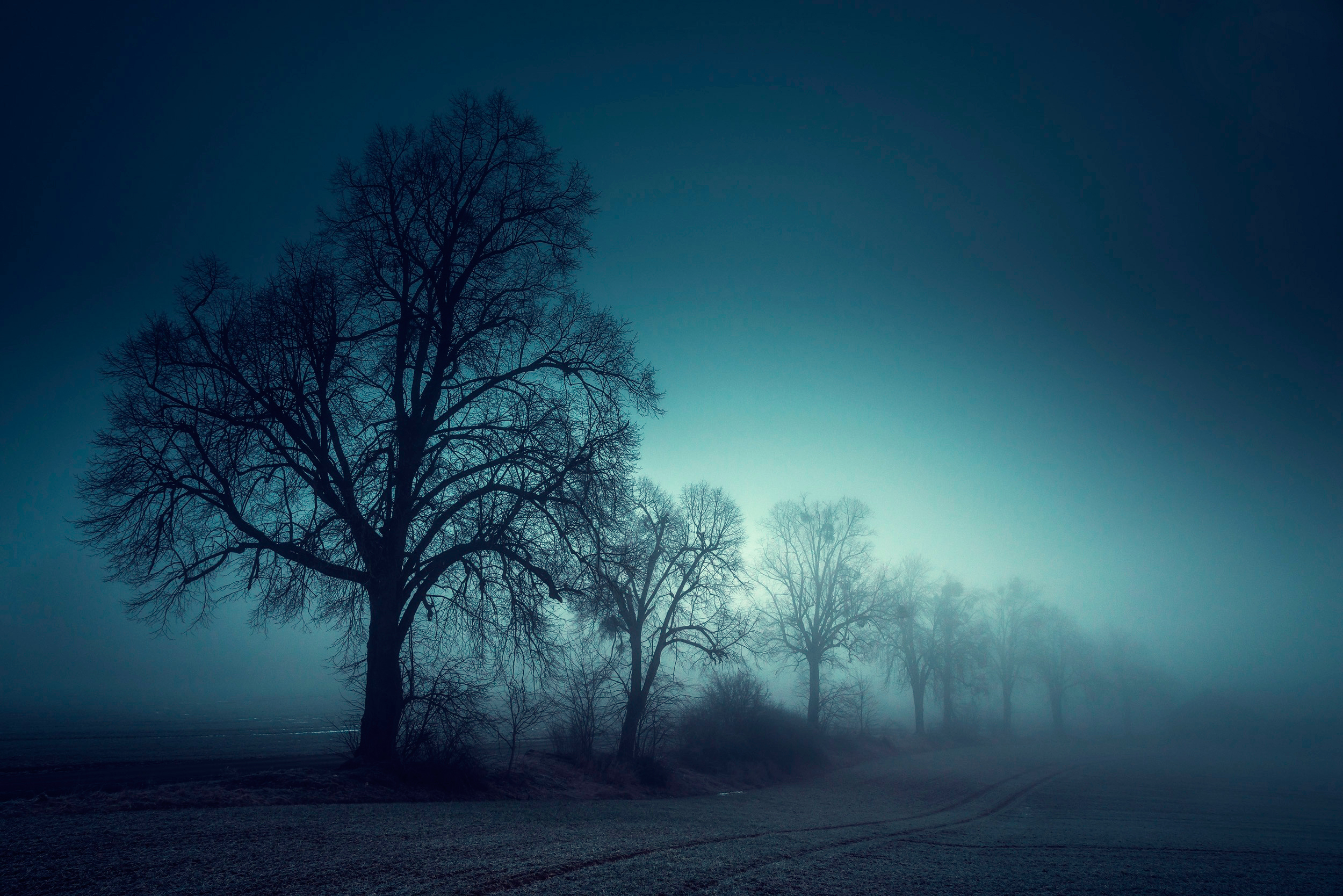 Téléchargez gratuitement l'image Brouillard, Terre/nature sur le bureau de votre PC