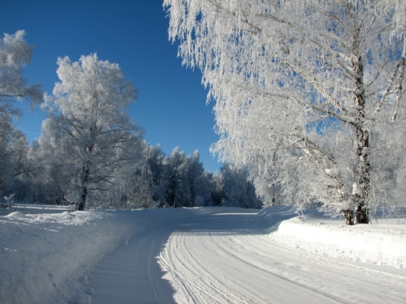landscape, winter, blue HD wallpaper