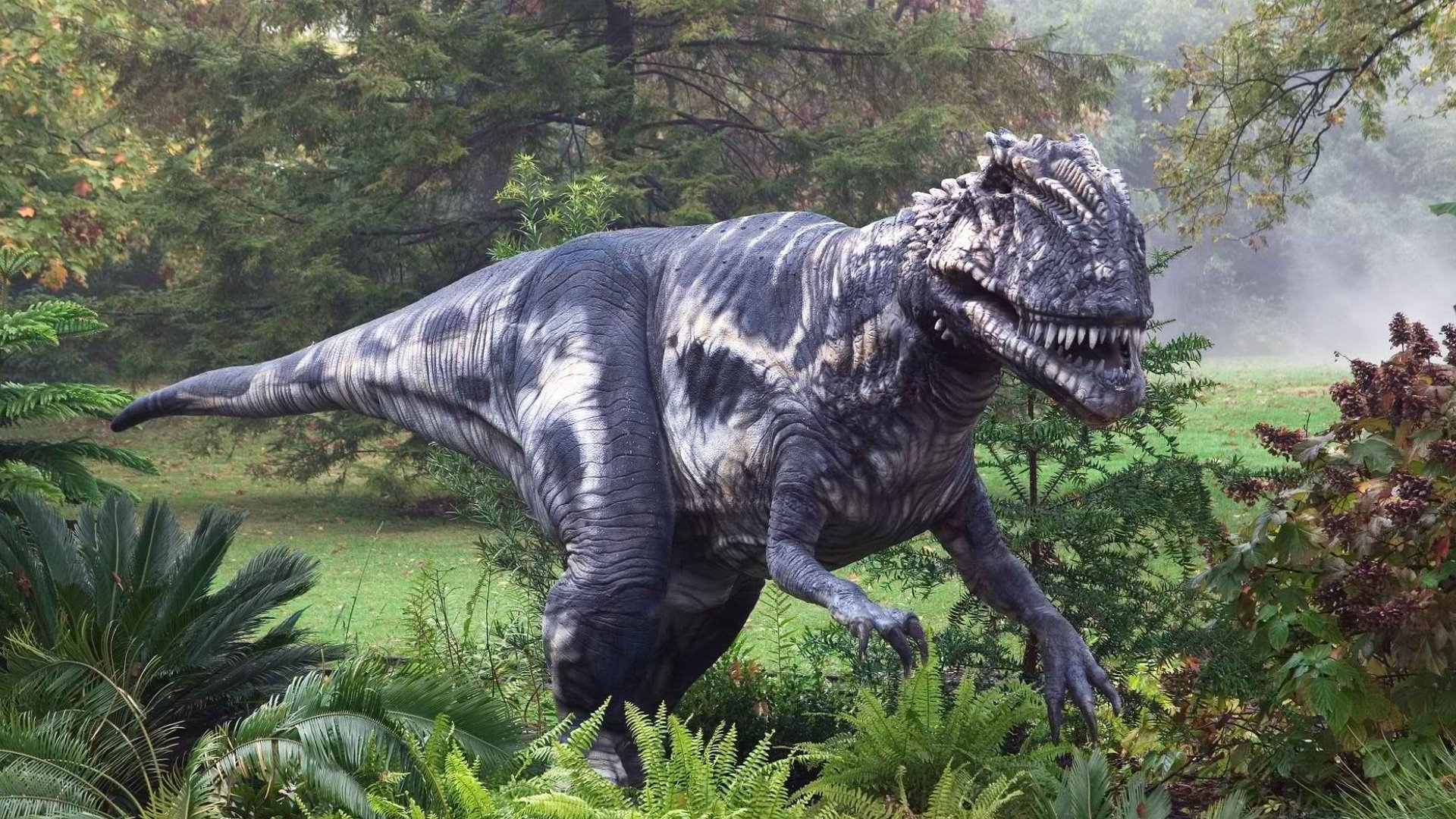 267093 descargar imagen dinosaurios, animales, tirano saurio rex: fondos de pantalla y protectores de pantalla gratis