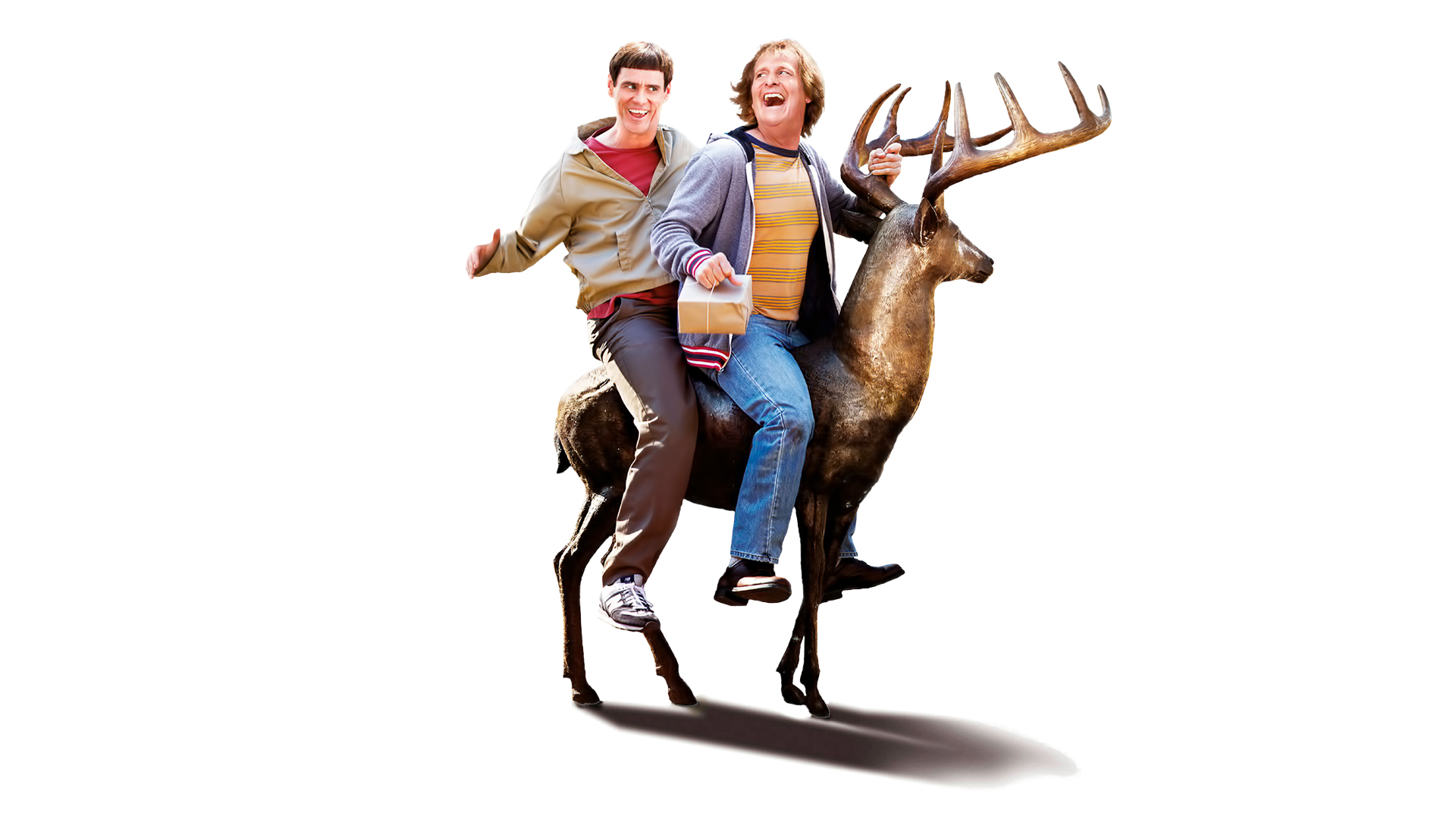 movie, dumb and dumber to