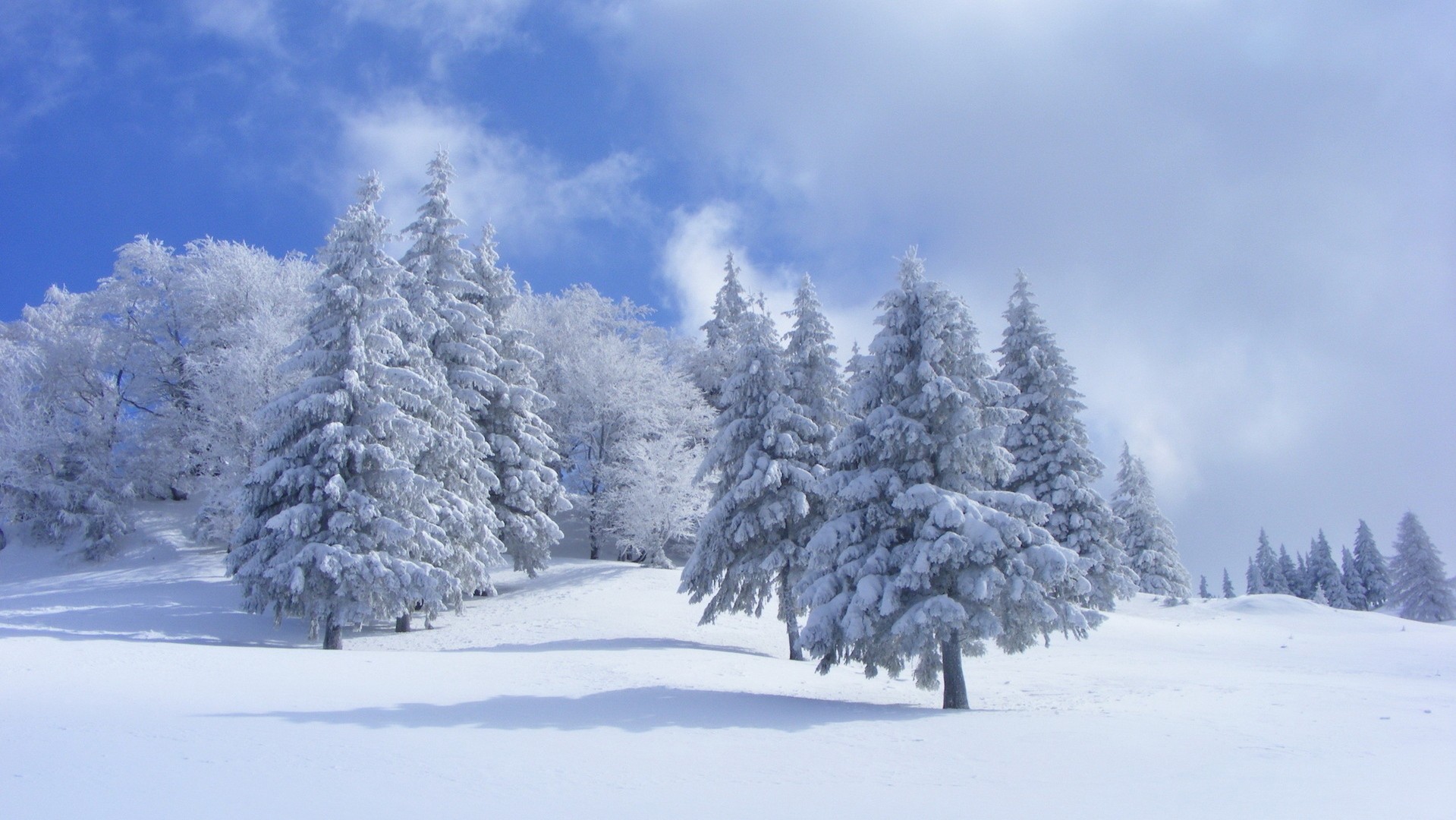 Téléchargez gratuitement l'image Hiver, Terre/nature sur le bureau de votre PC