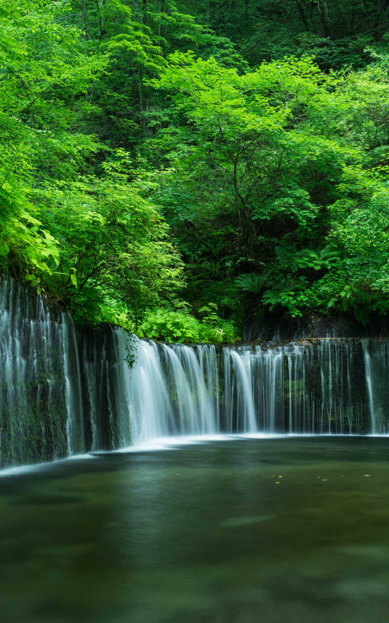 Download mobile wallpaper Nature, Waterfalls, Waterfall, Earth, Greenery for free.